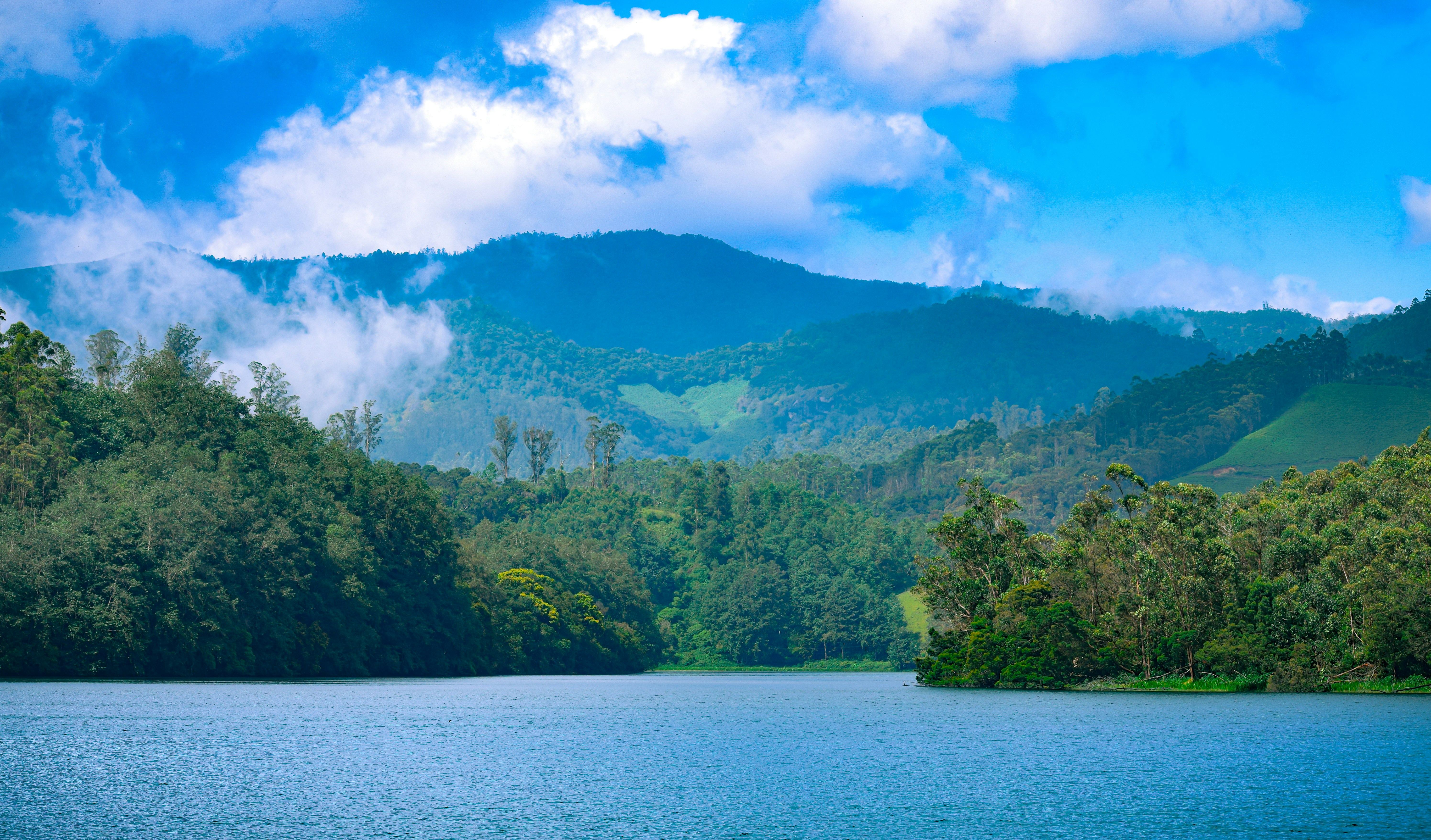 Photo by nandakumarrajesh1312007