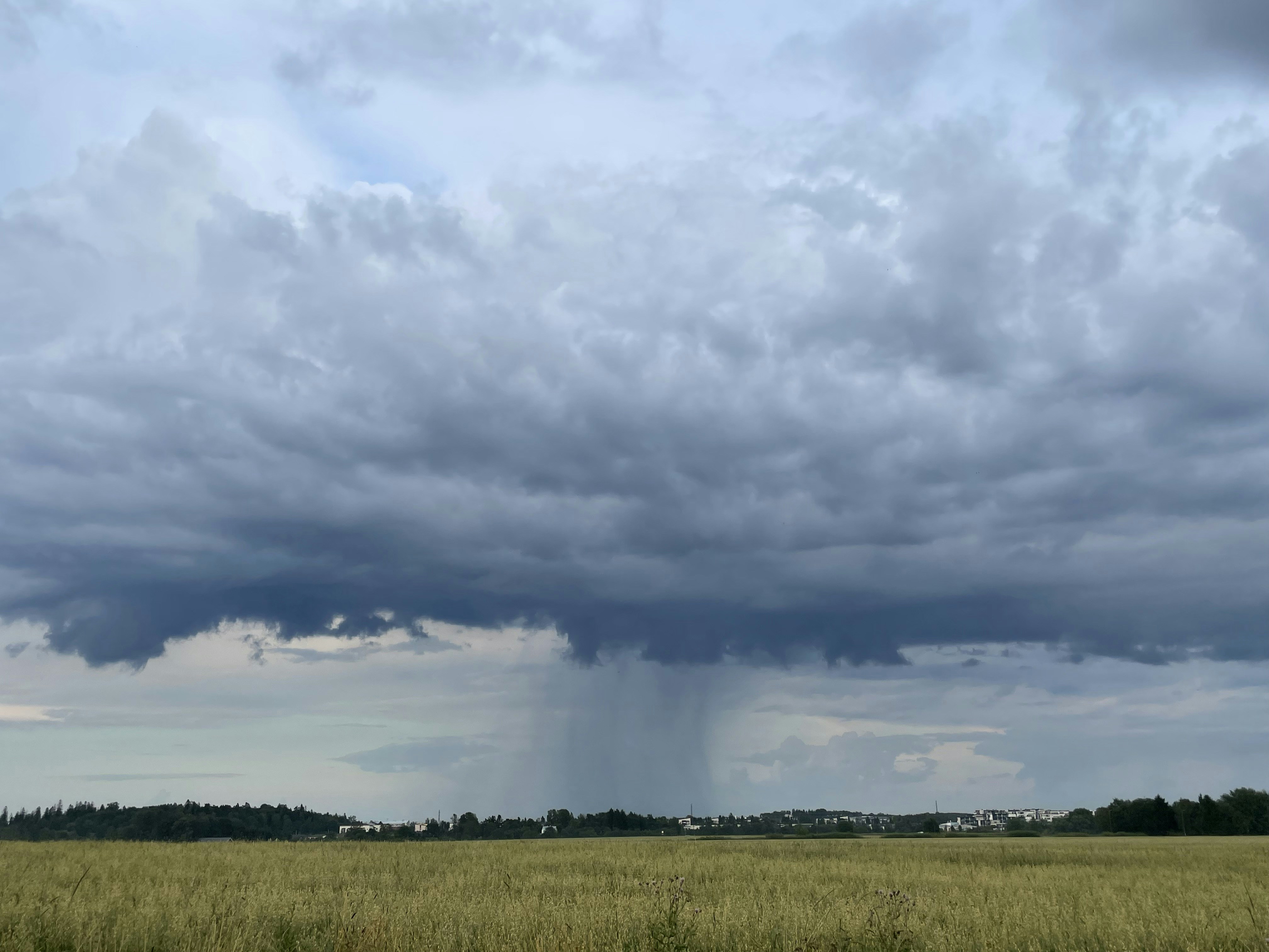 Photo by artturijalli