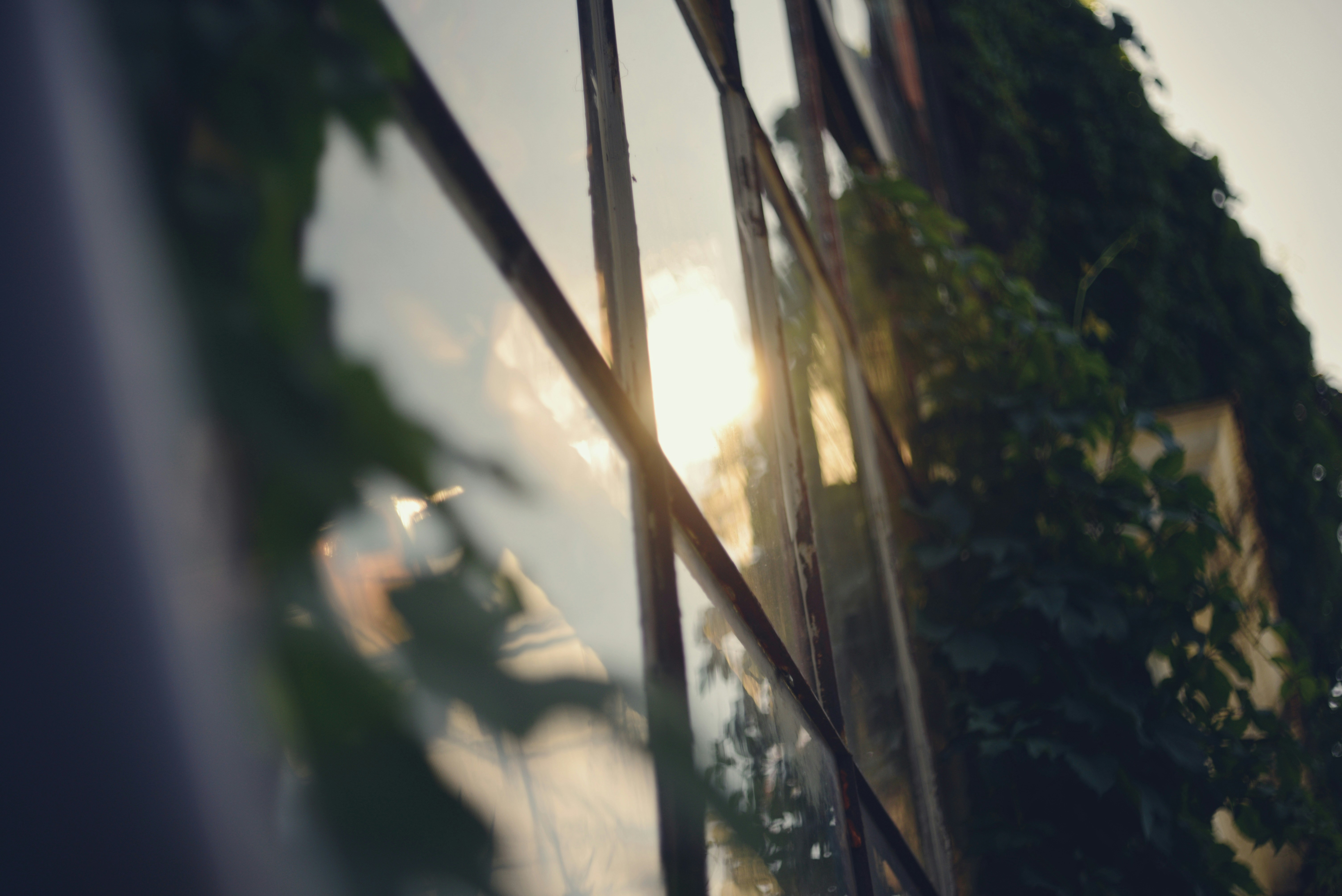 Photo by cherstve_pechivo