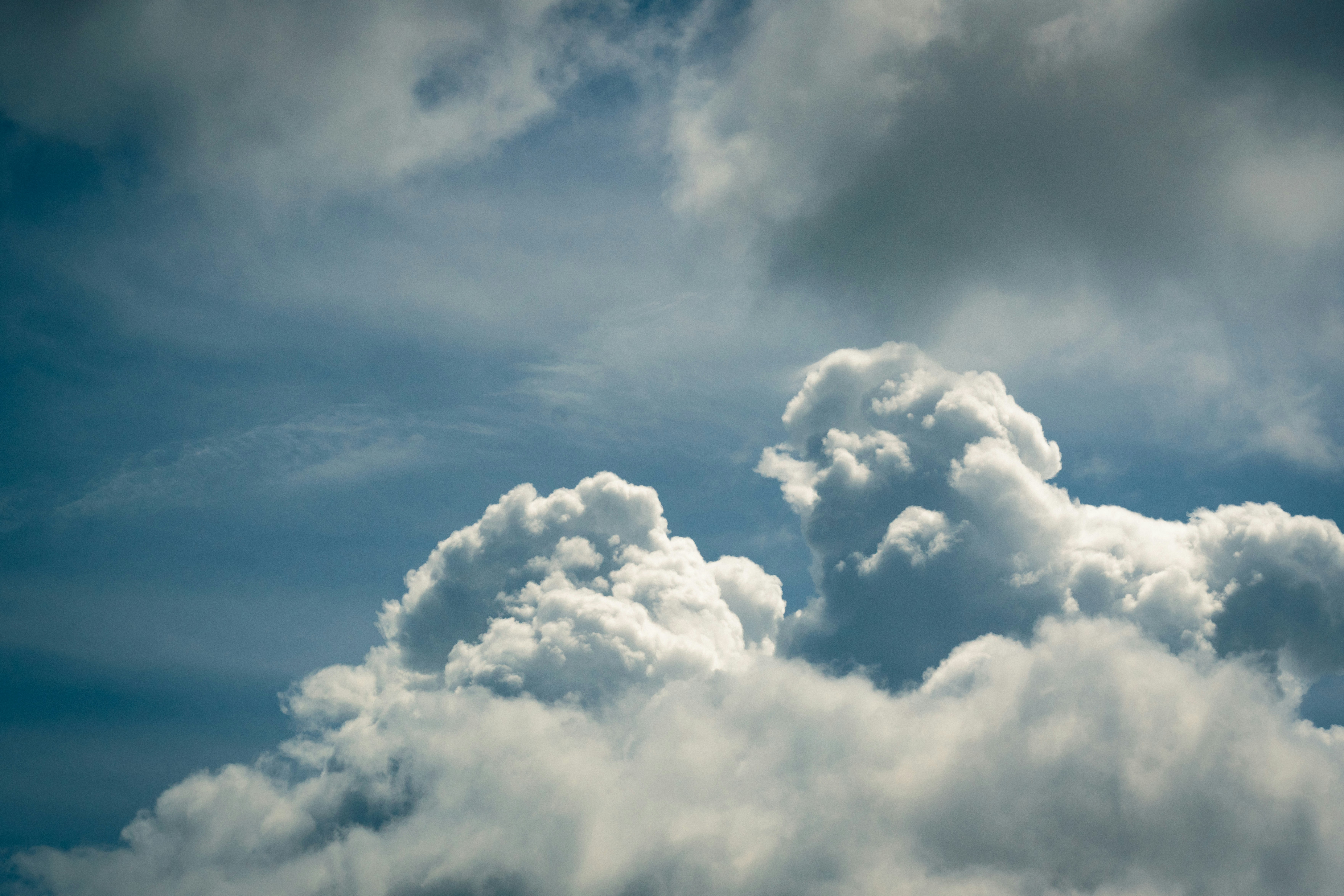 Photo by carterbilawchuk