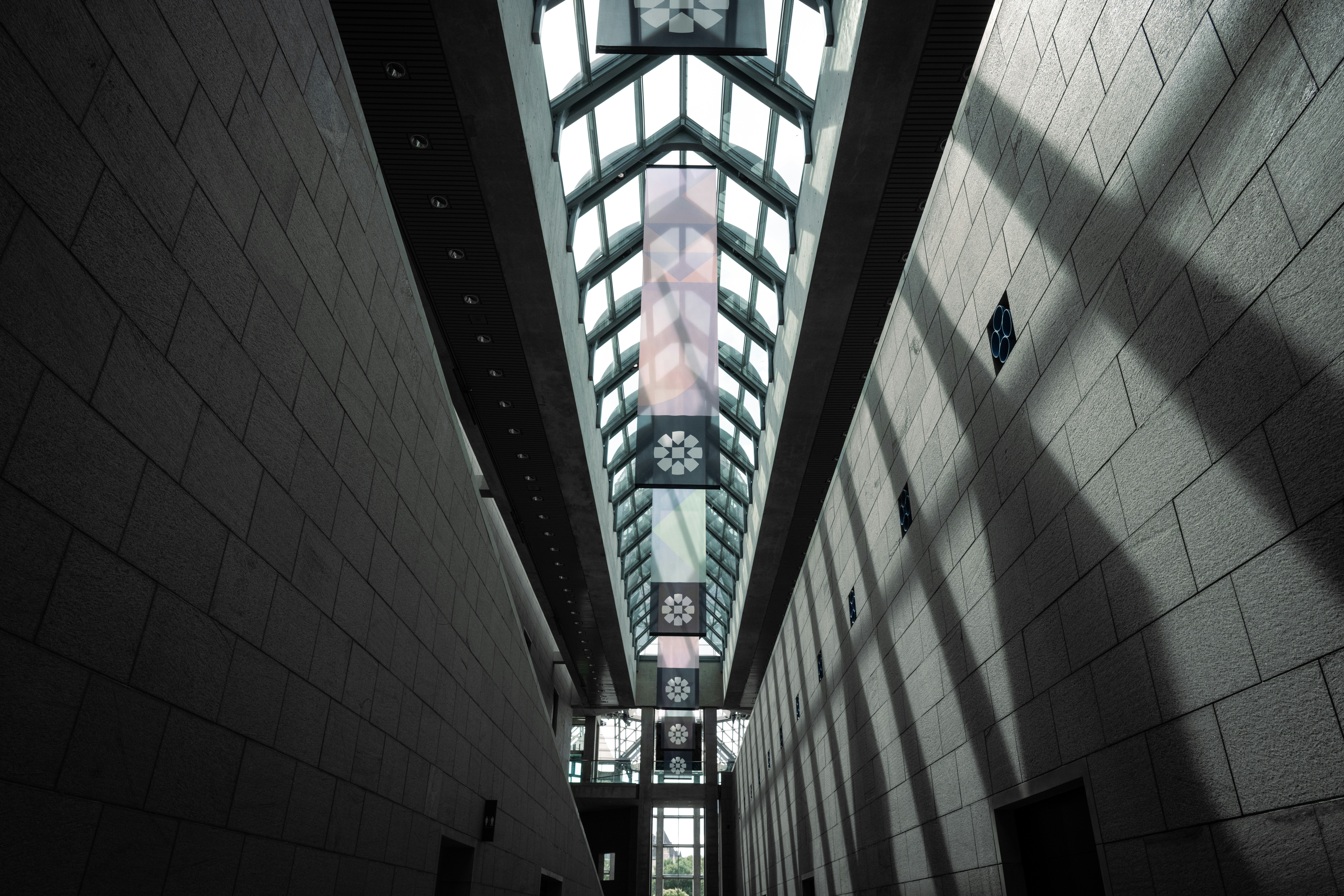 Photo by carterbilawchuk