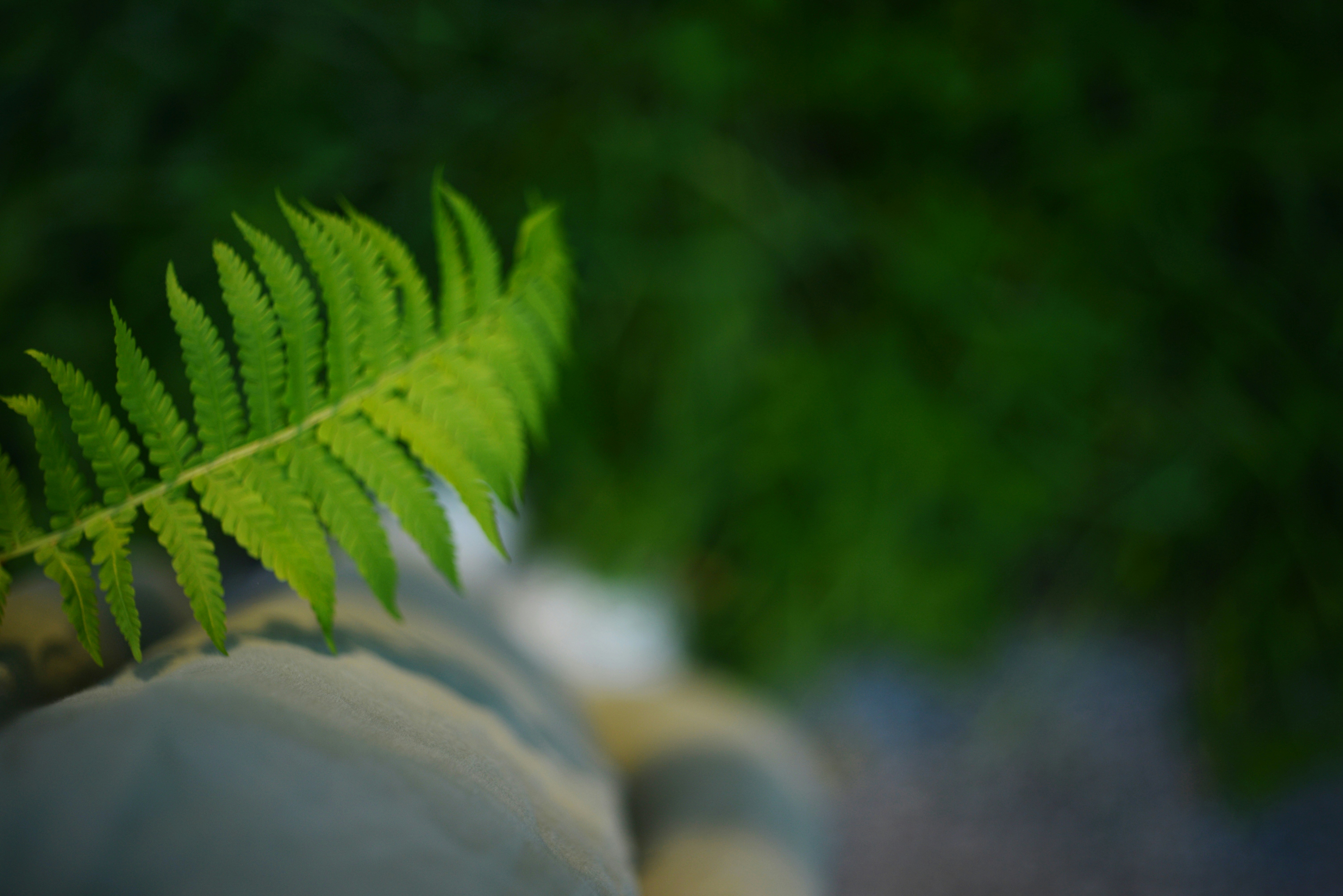 Photo by cherstve_pechivo