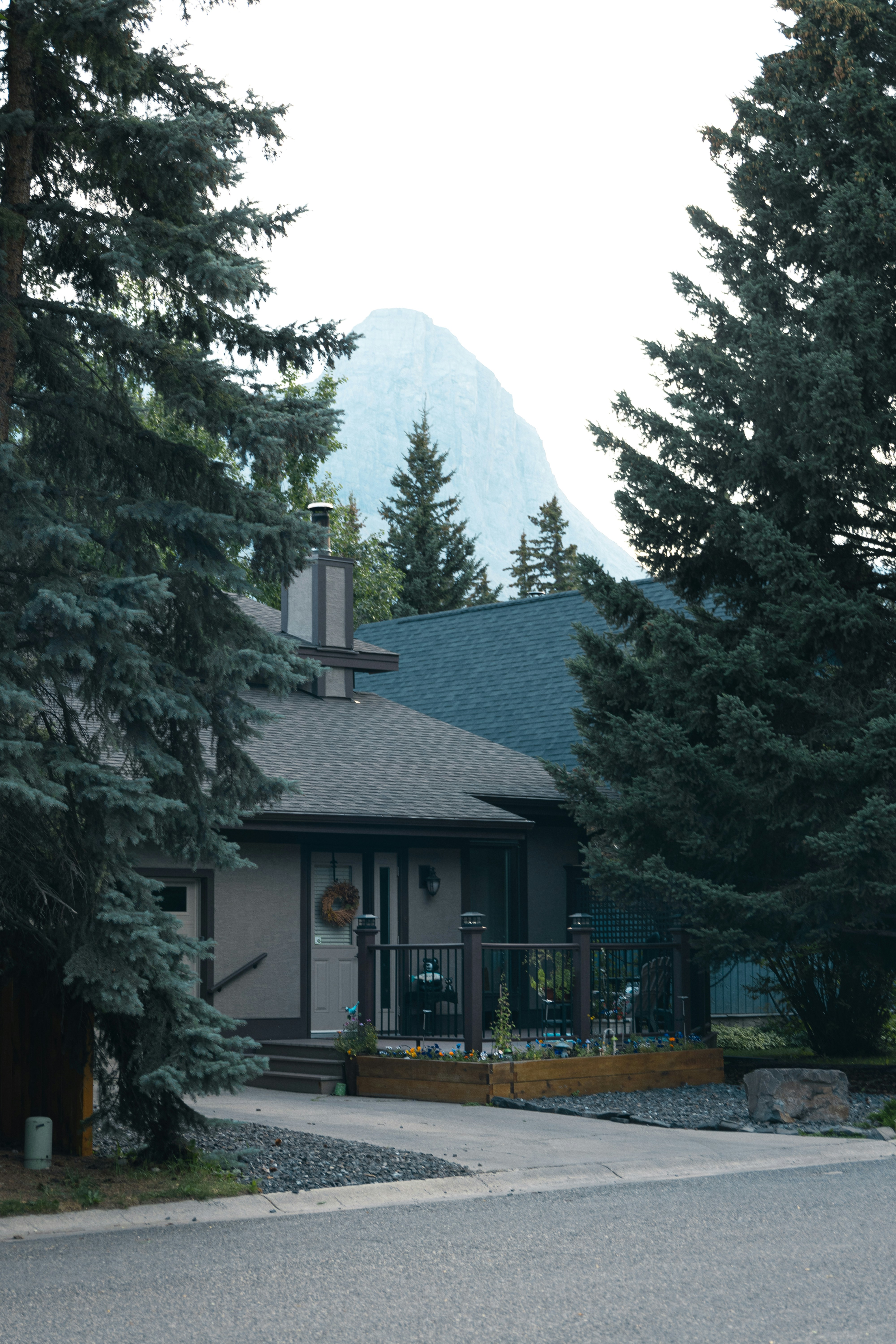 House nestled among pine trees with mountain backdrop.