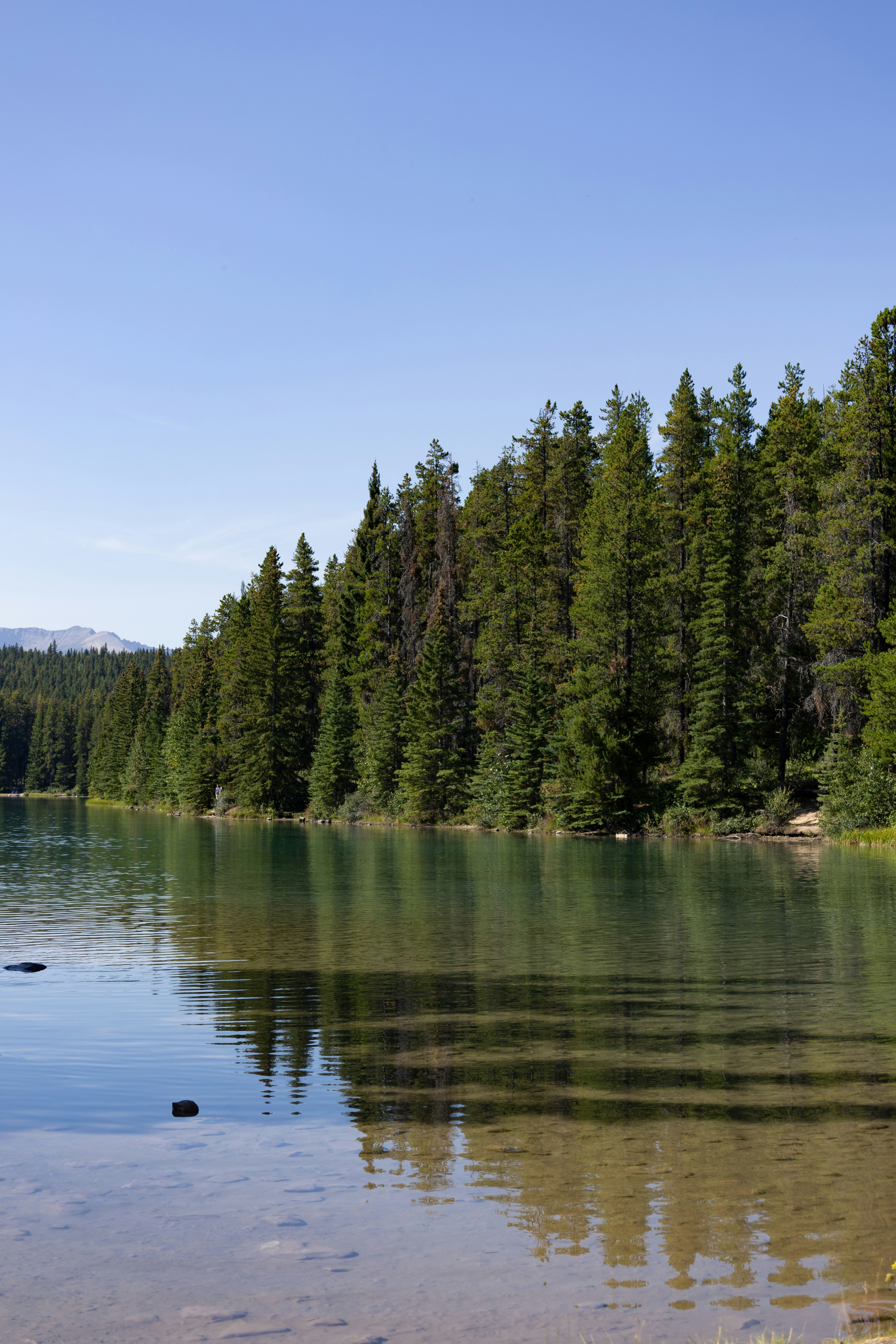 Photo by vincentyuan87