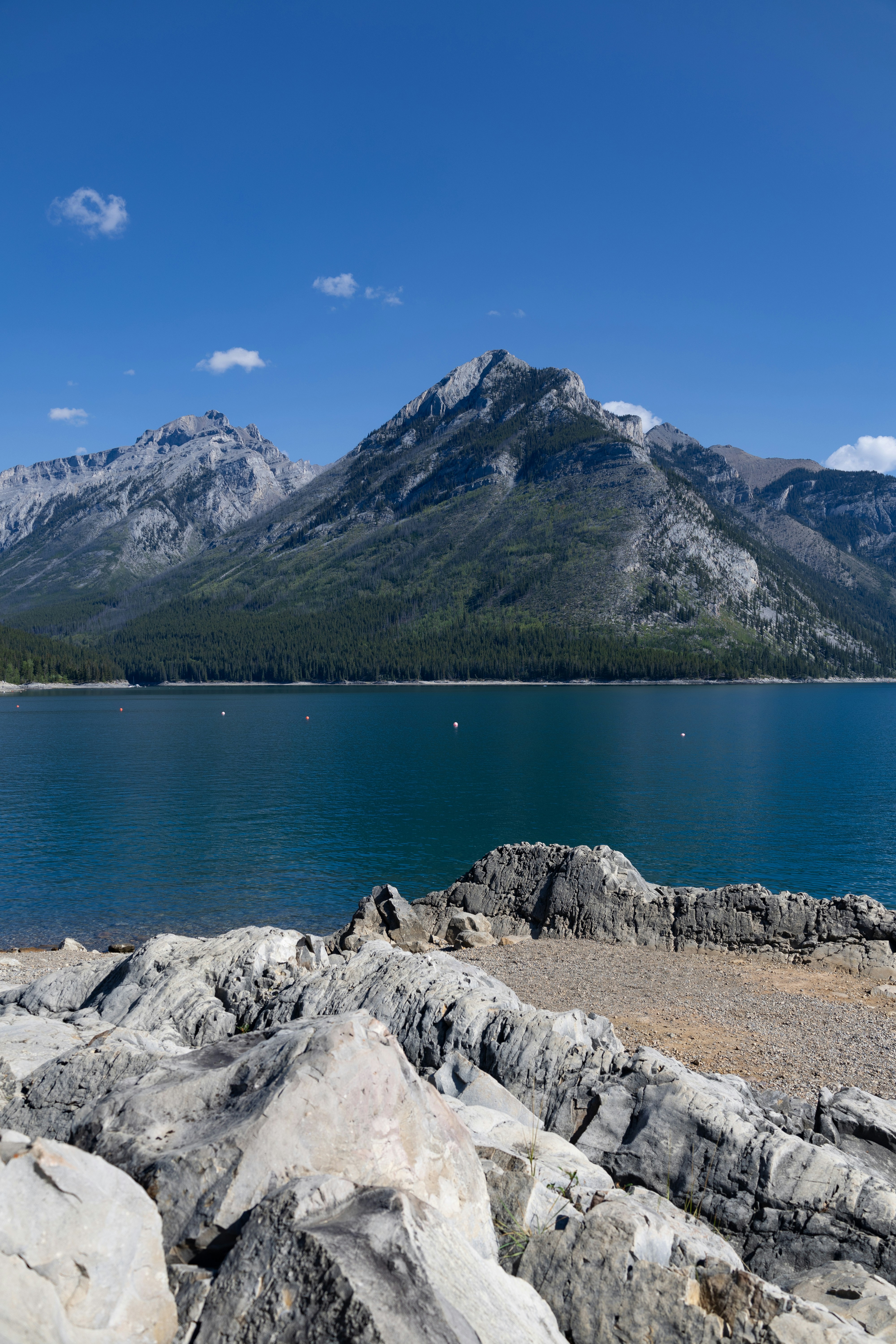 Photo by vincentyuan87