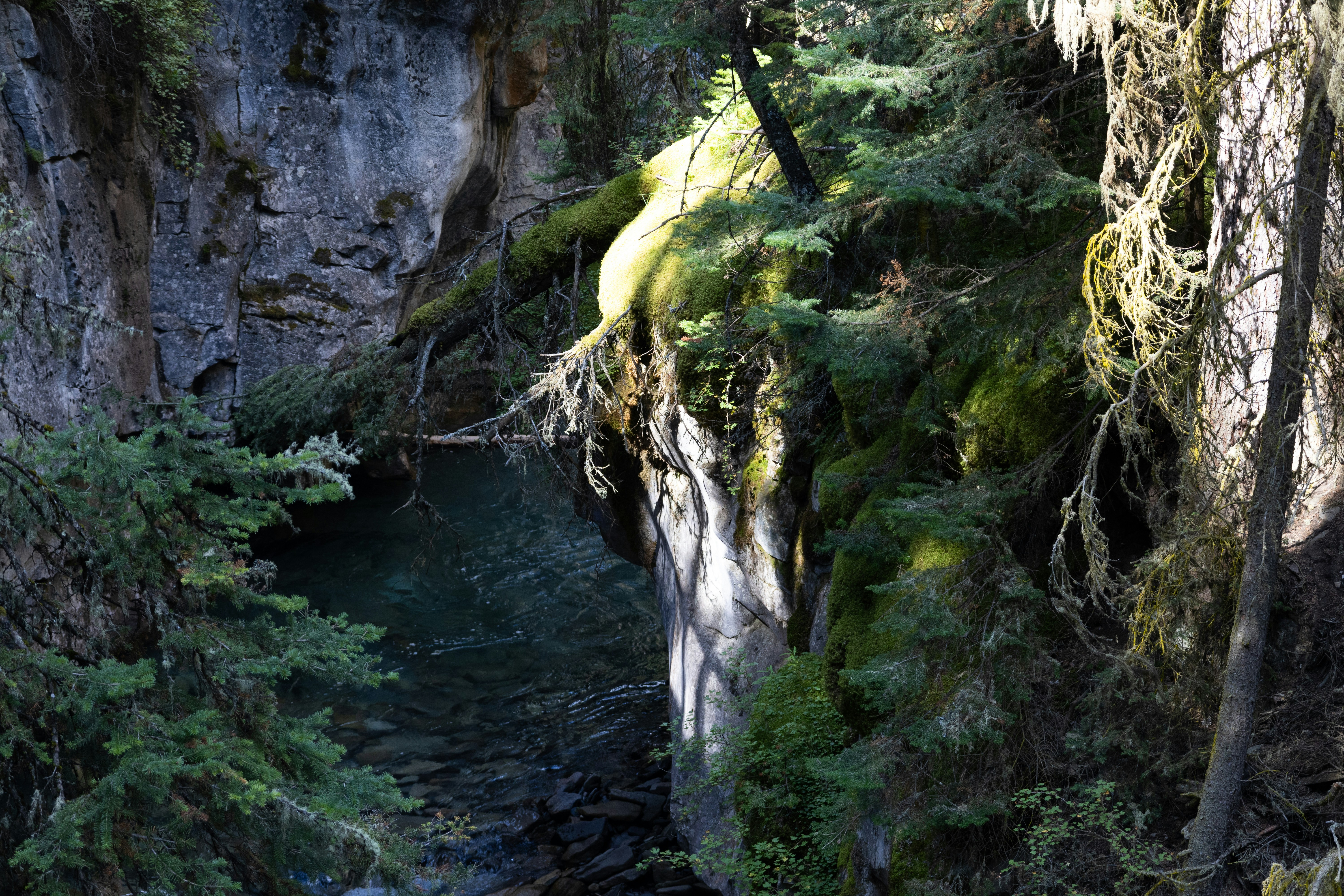 Photo by vincentyuan87