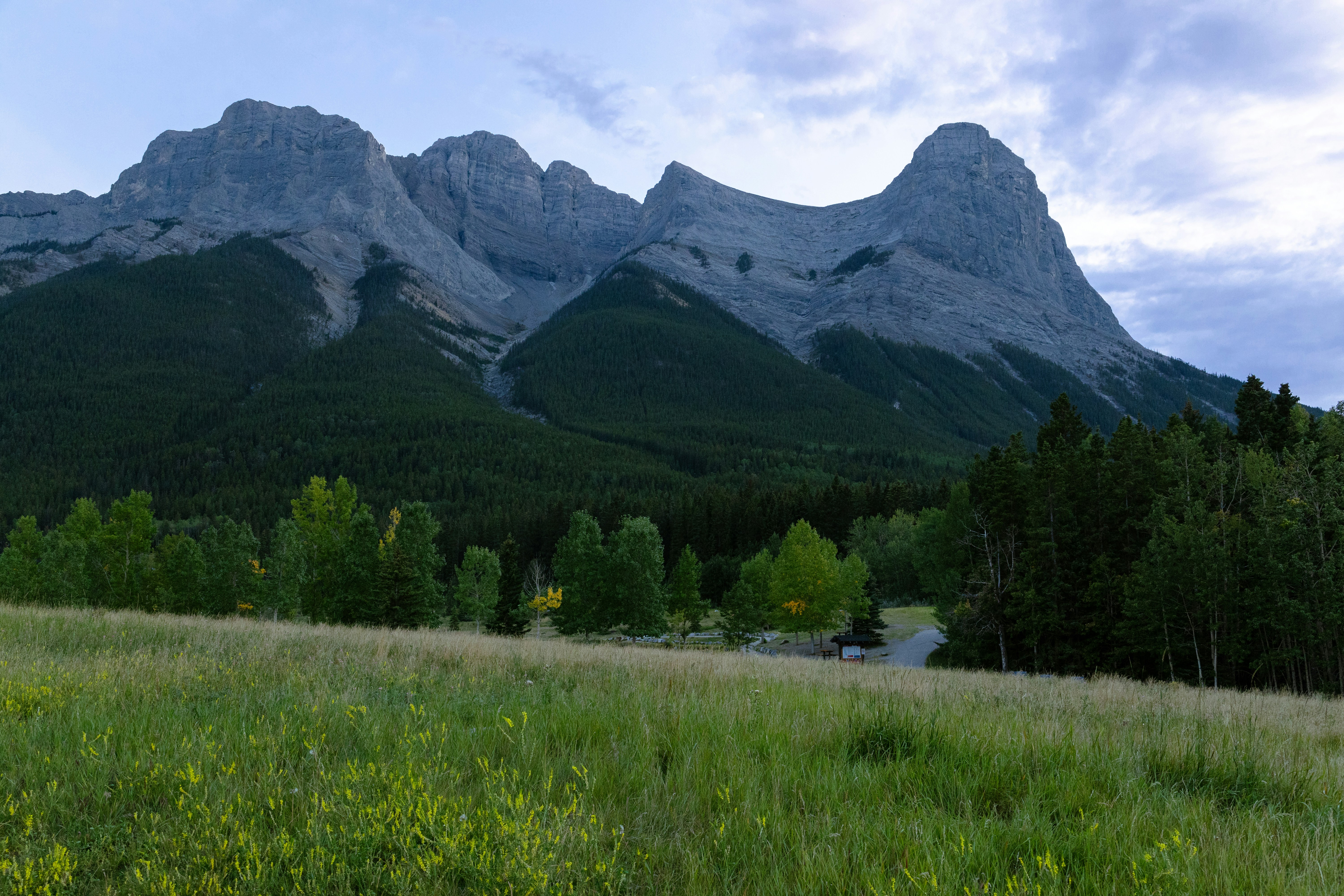 Jagged mountain range with green forest and grassy field