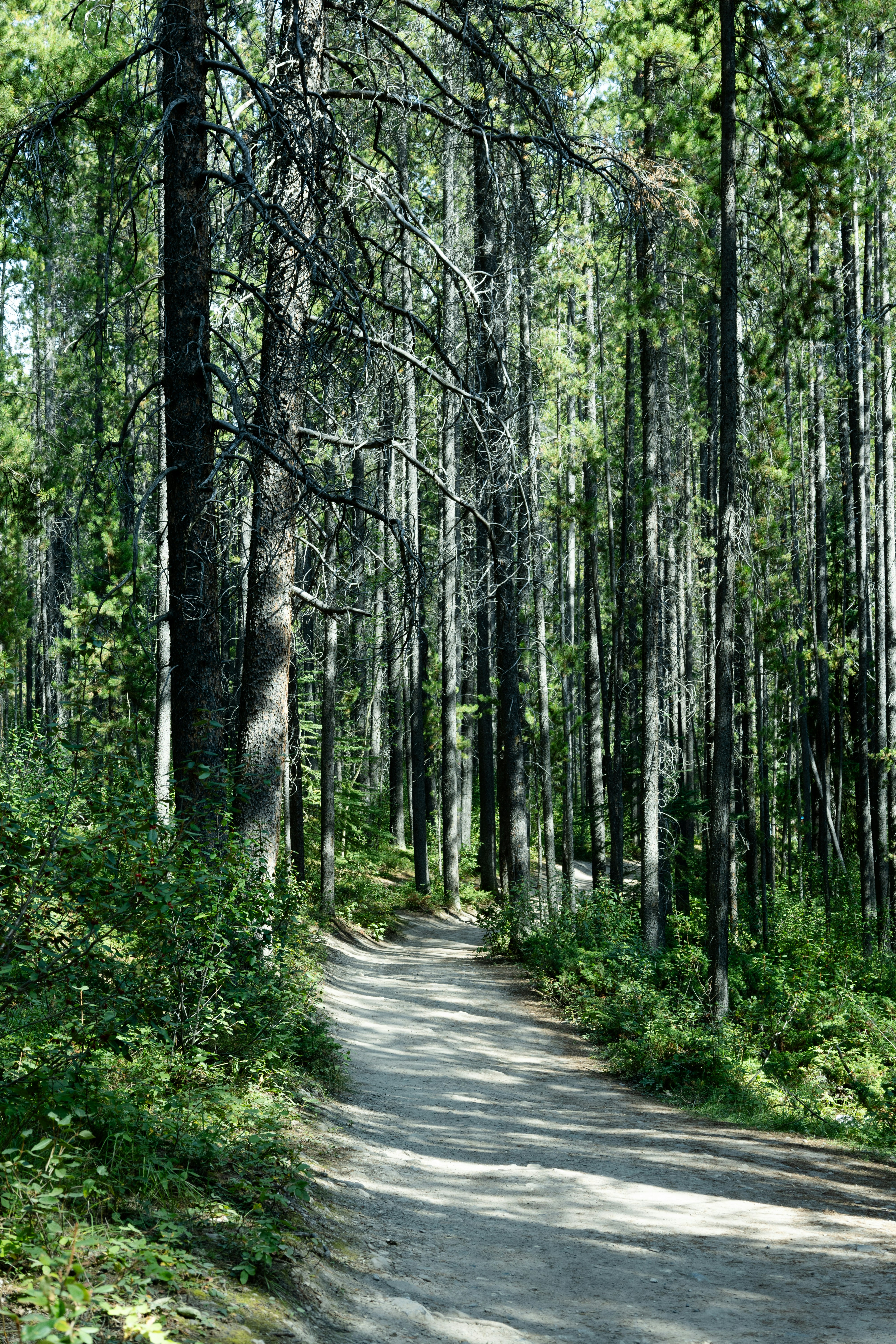 Photo by vincentyuan87