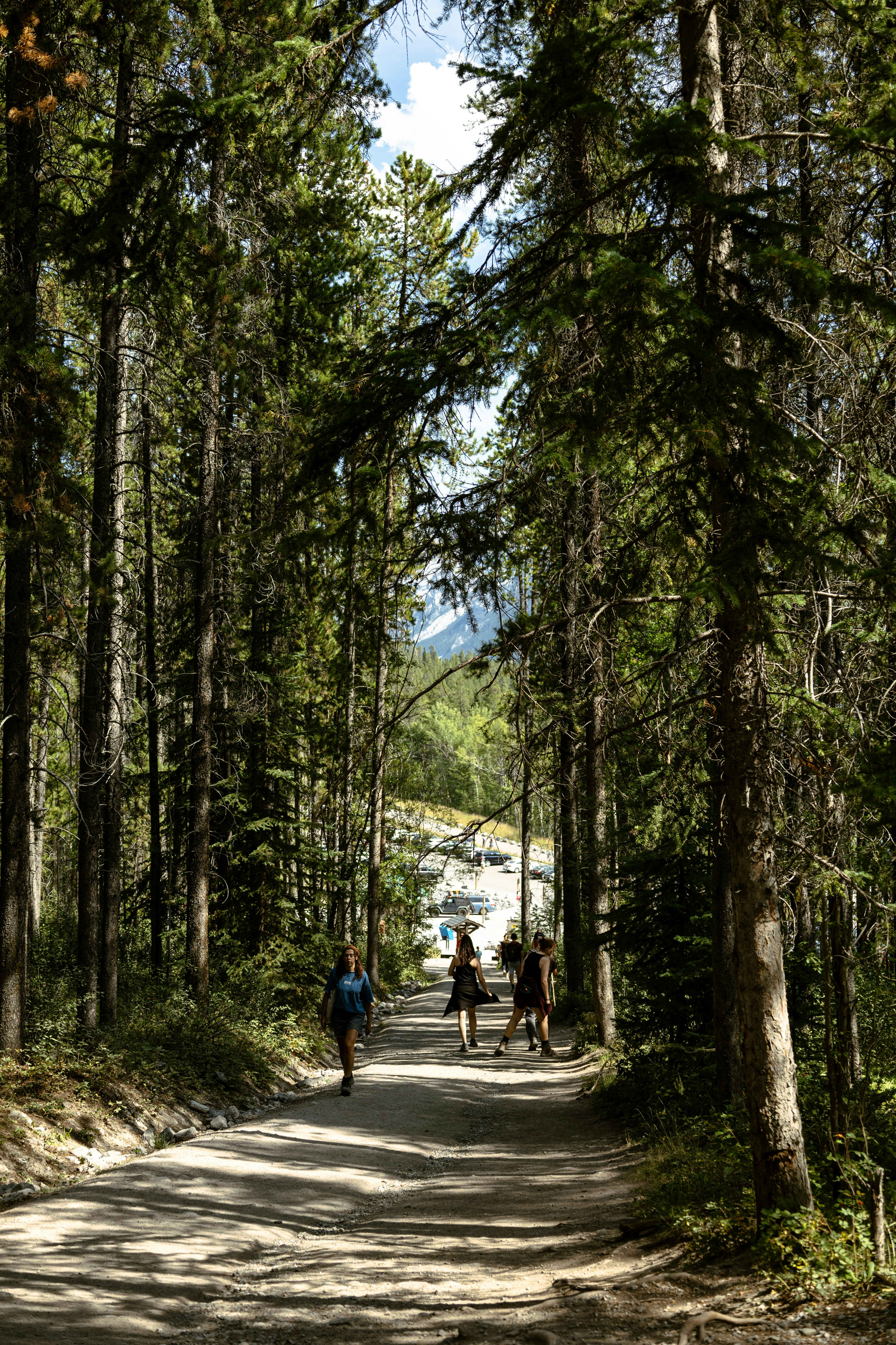 People walking on a forest path towards a waterfall.
