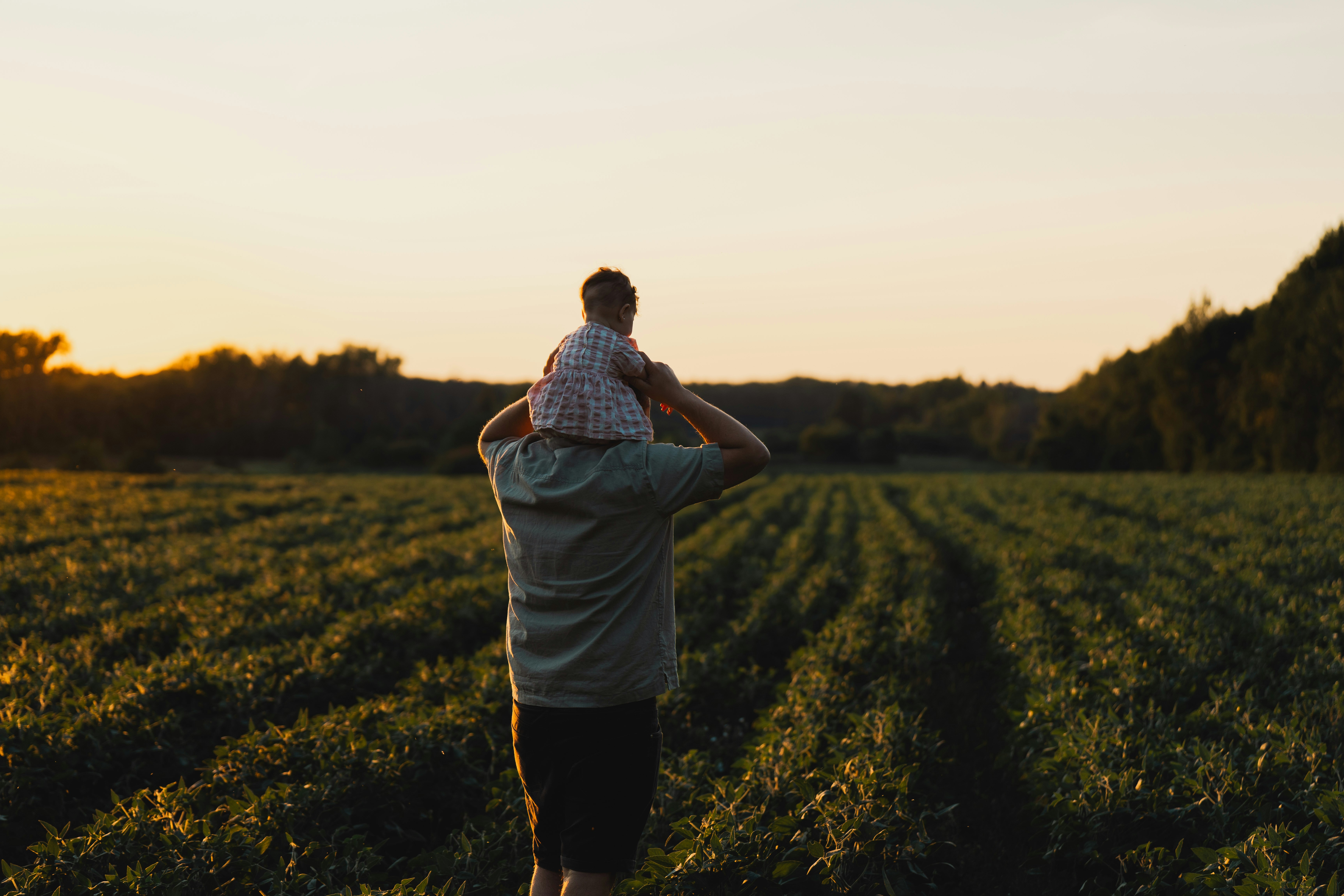 Photo by user90807060