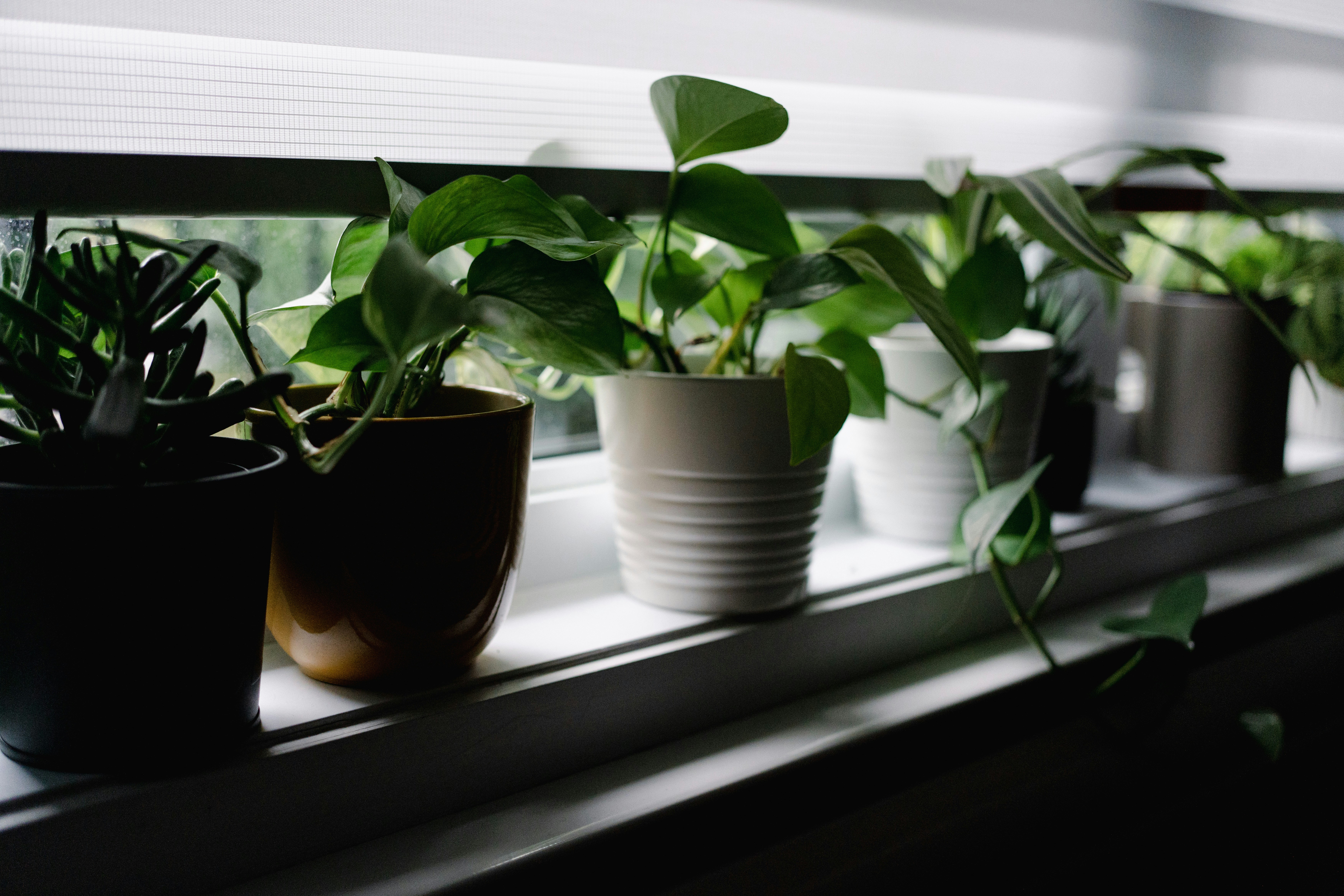 Photo by user90807060