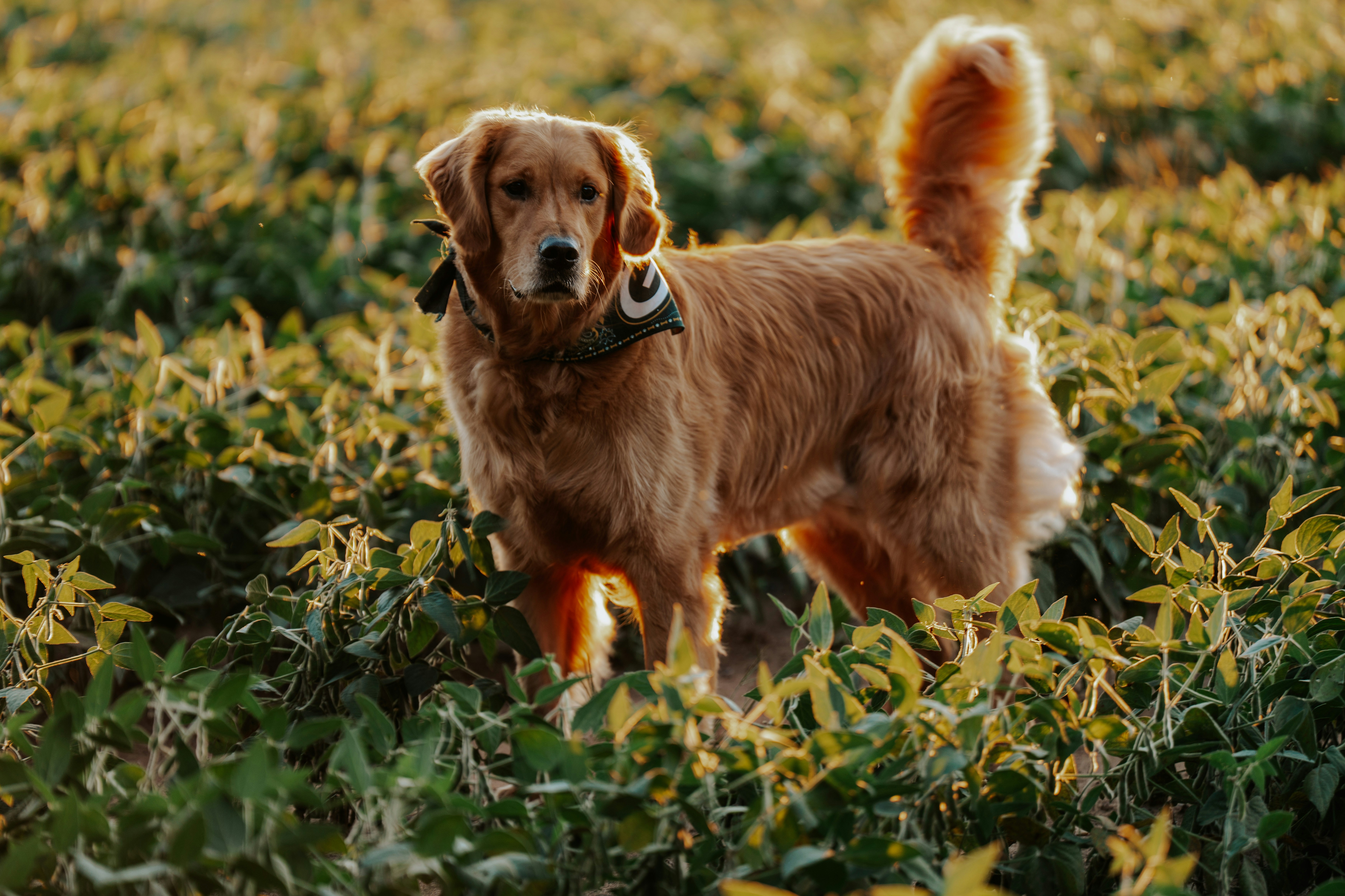 Photo by user90807060