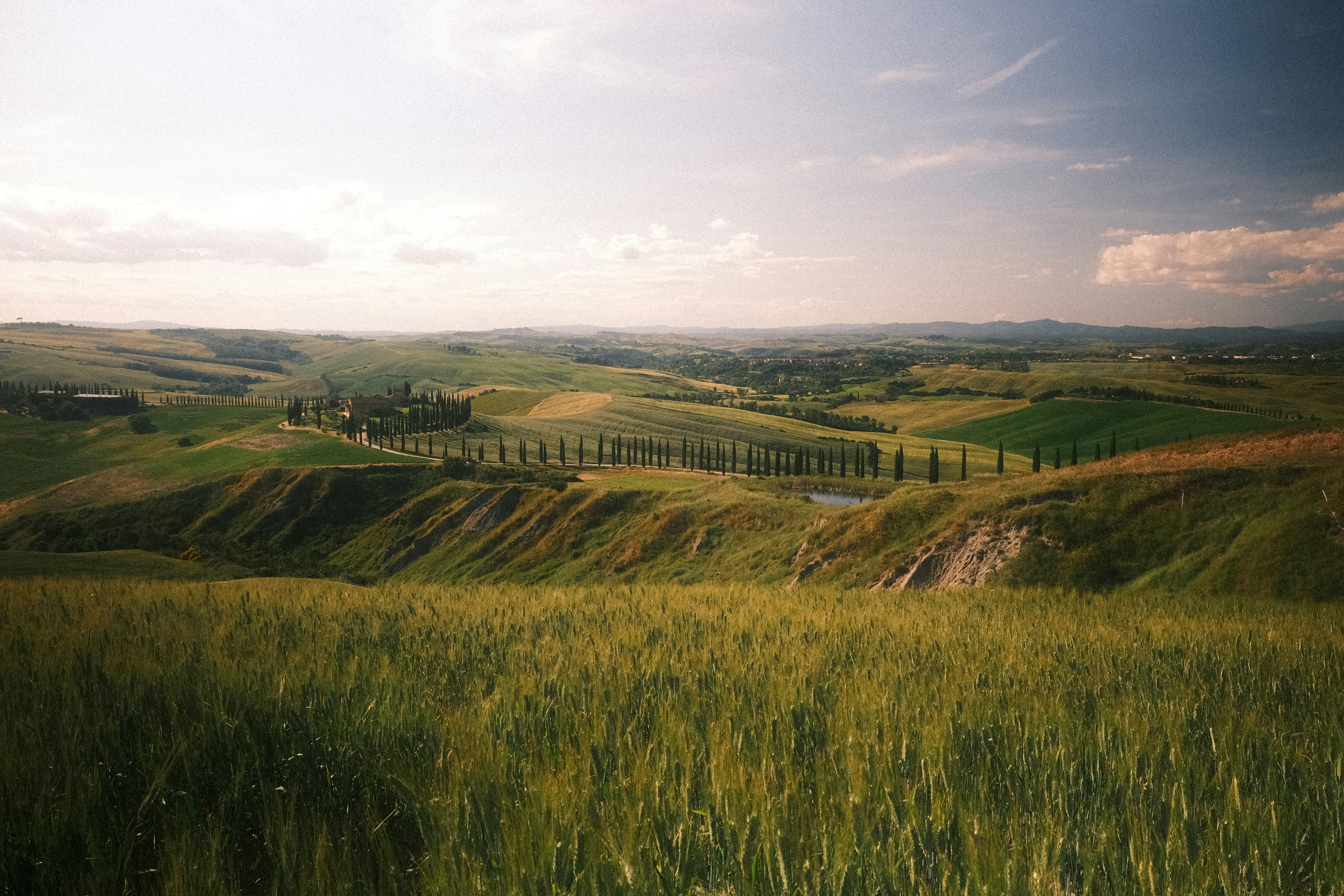 Photo by tufisalexandru