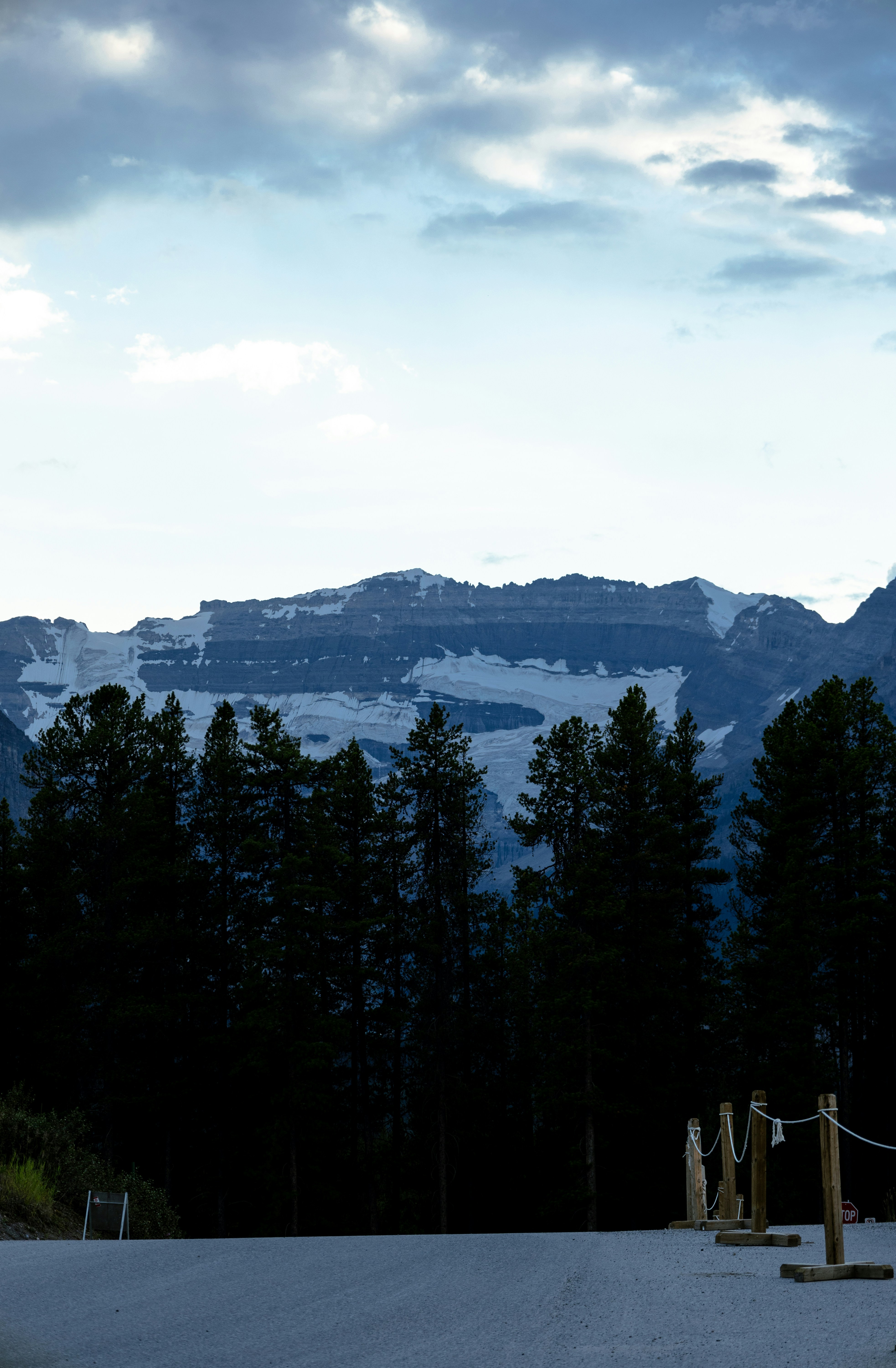 Snow-capped mountains behind dark pine trees