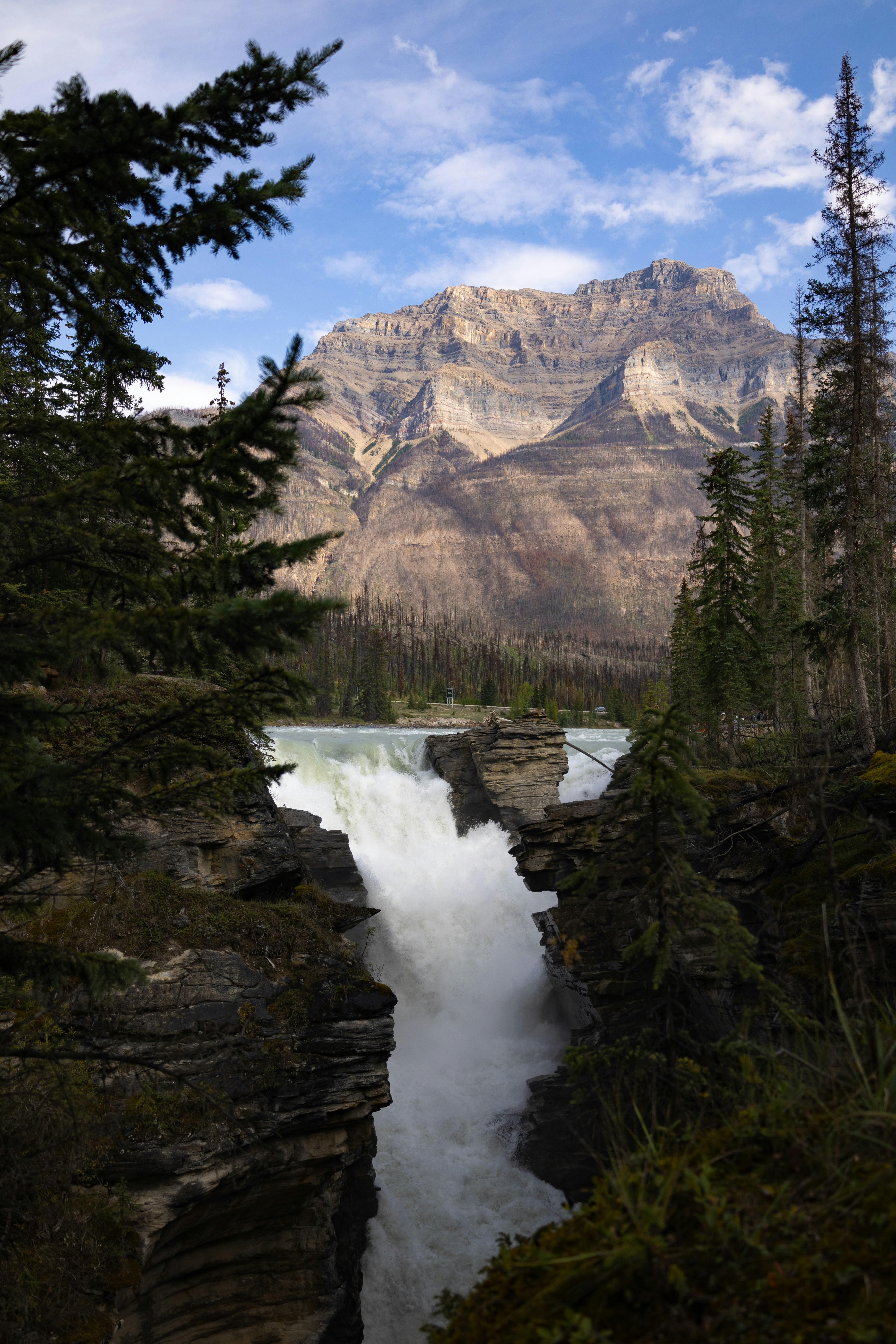 Photo by vincentyuan87