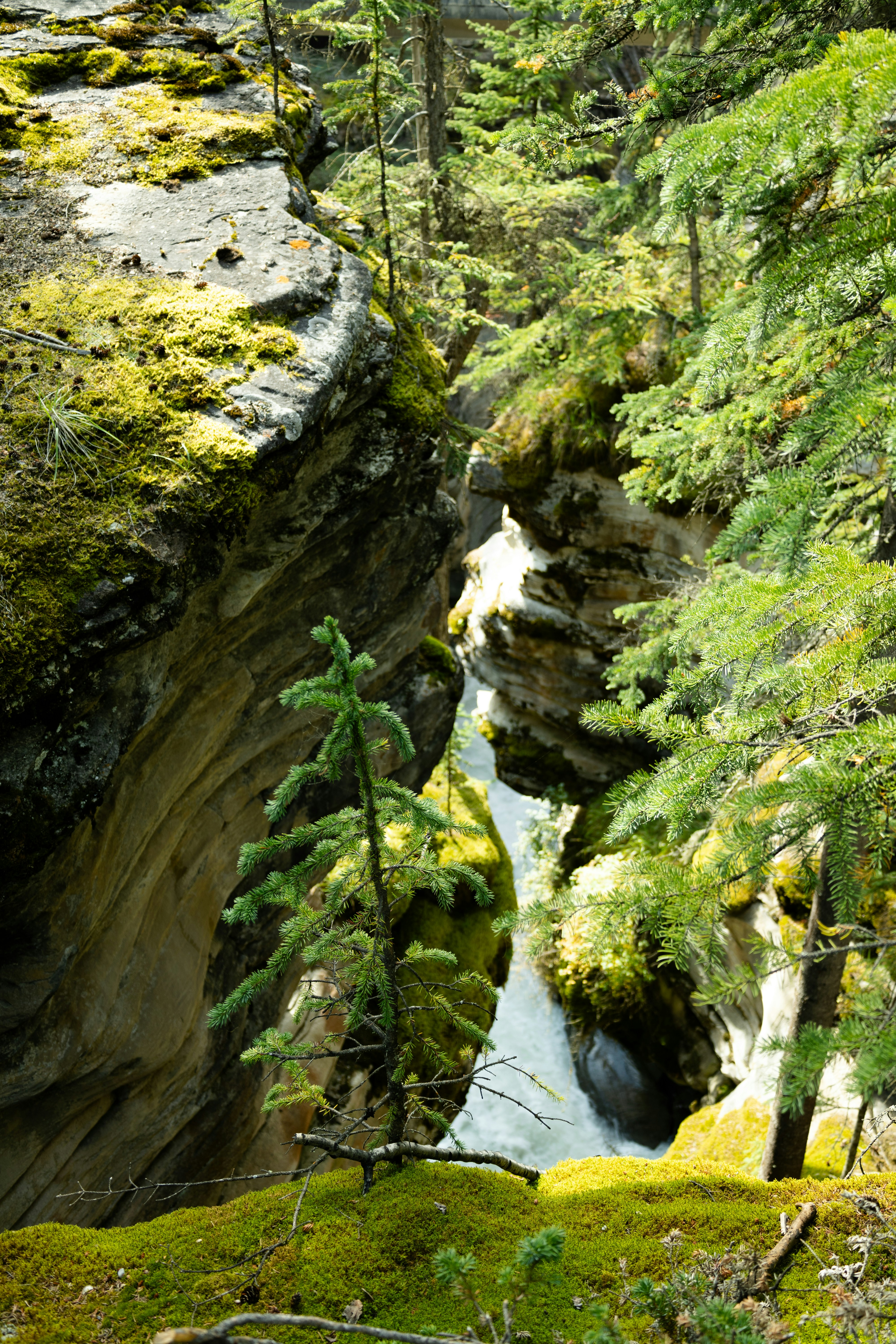 Photo by vincentyuan87