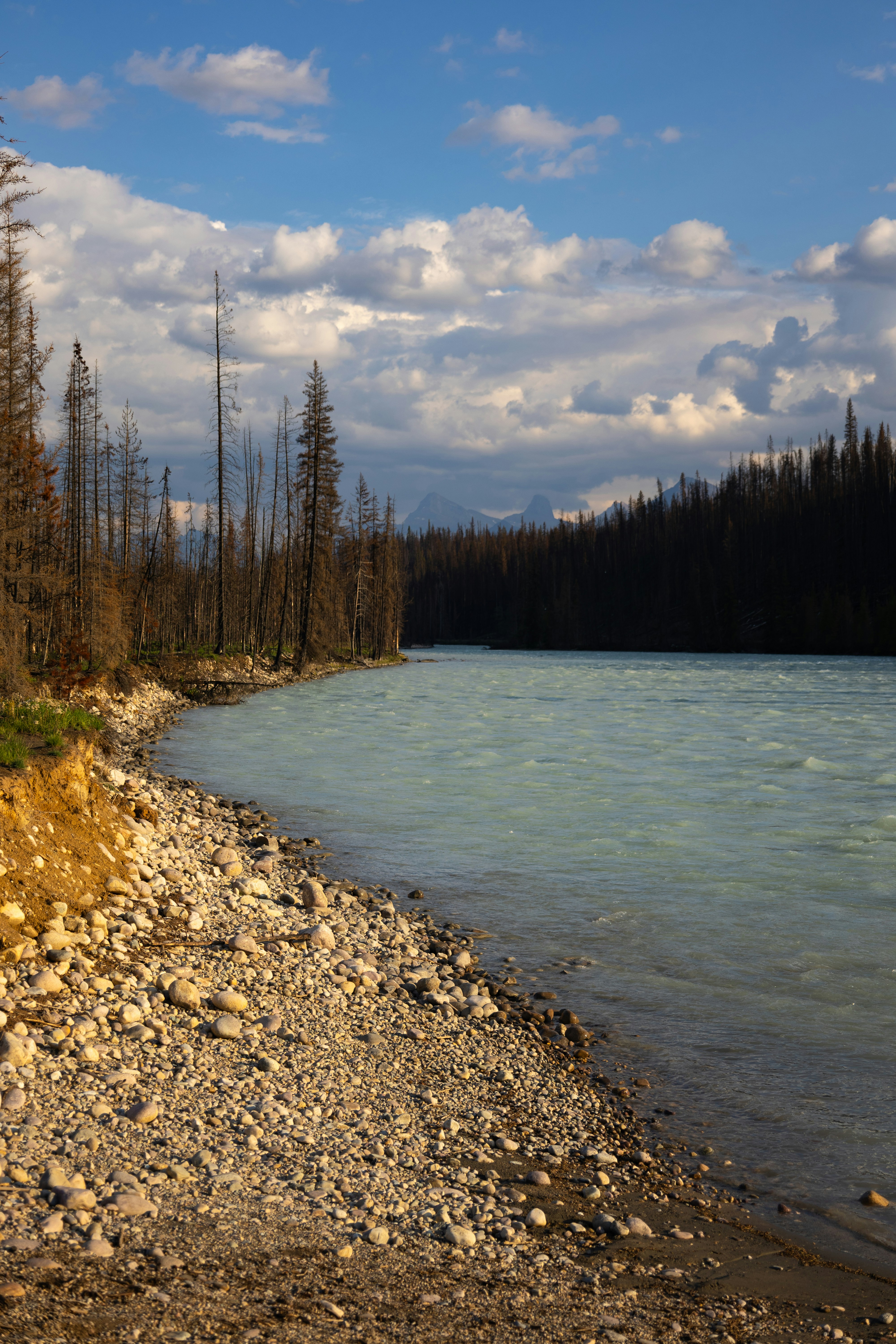 Rocky shore beside a wide, glacial river under clouds.