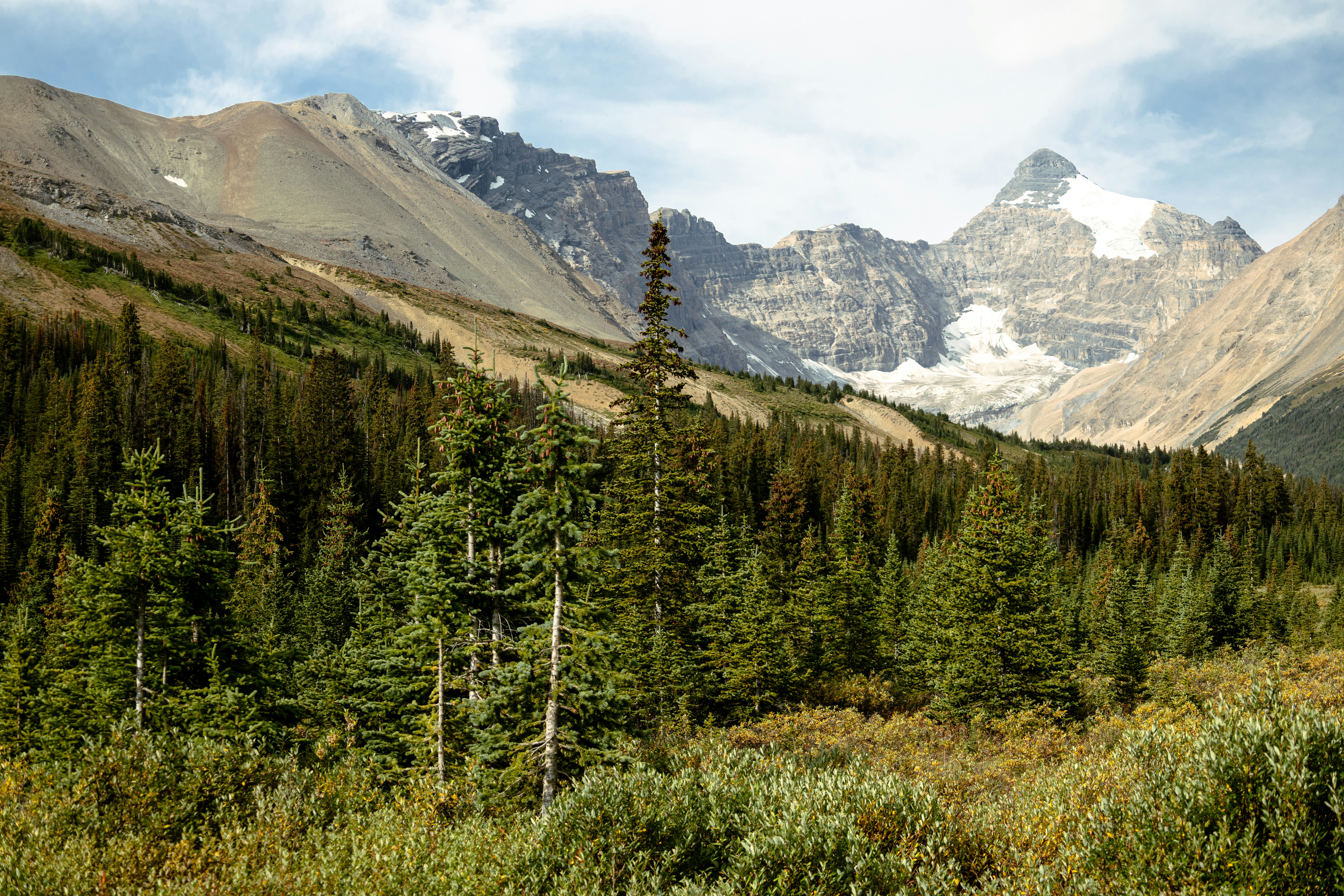 Photo by vincentyuan87