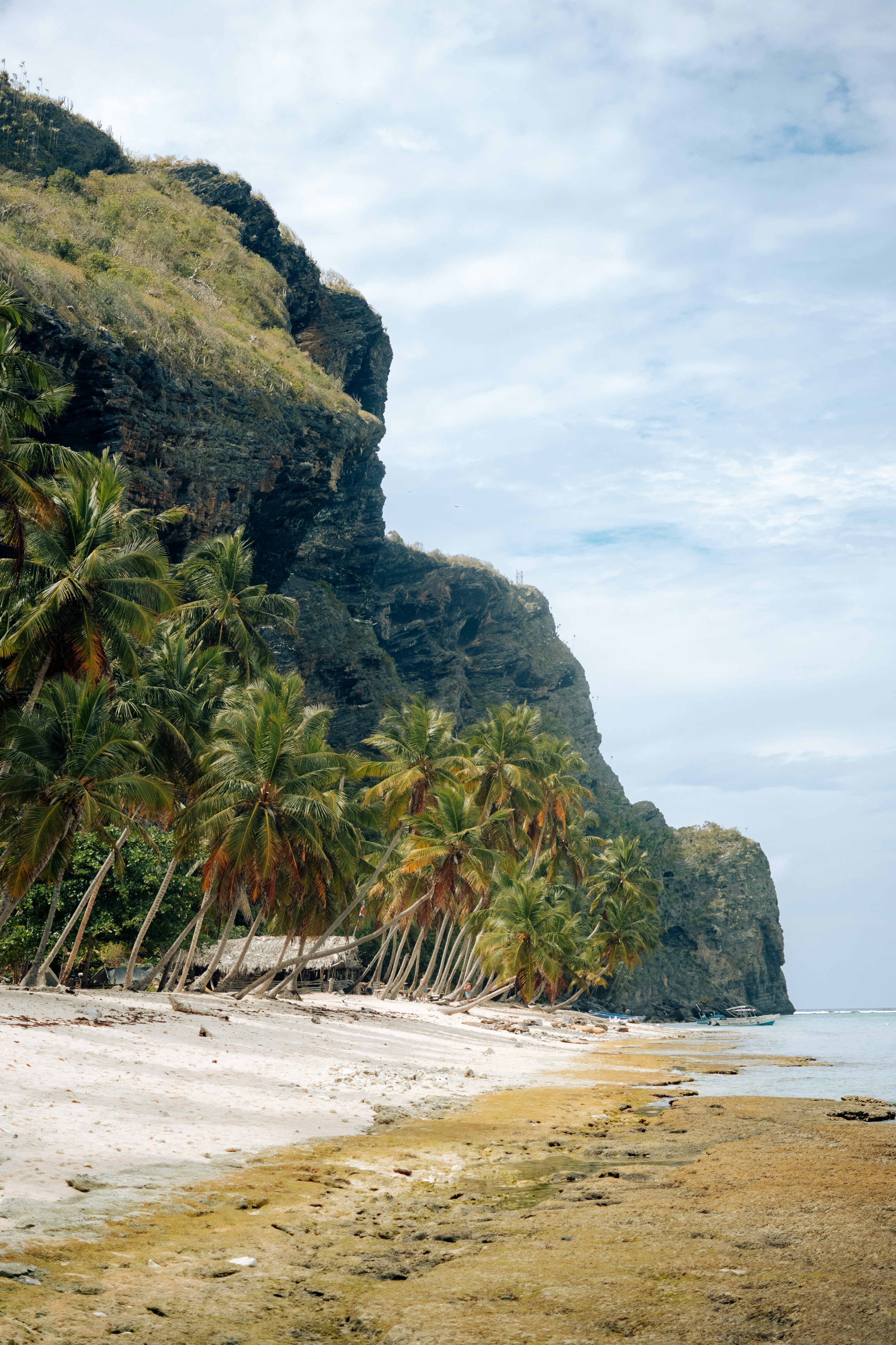 Palm trees line a sandy beach beside a rocky cliff.