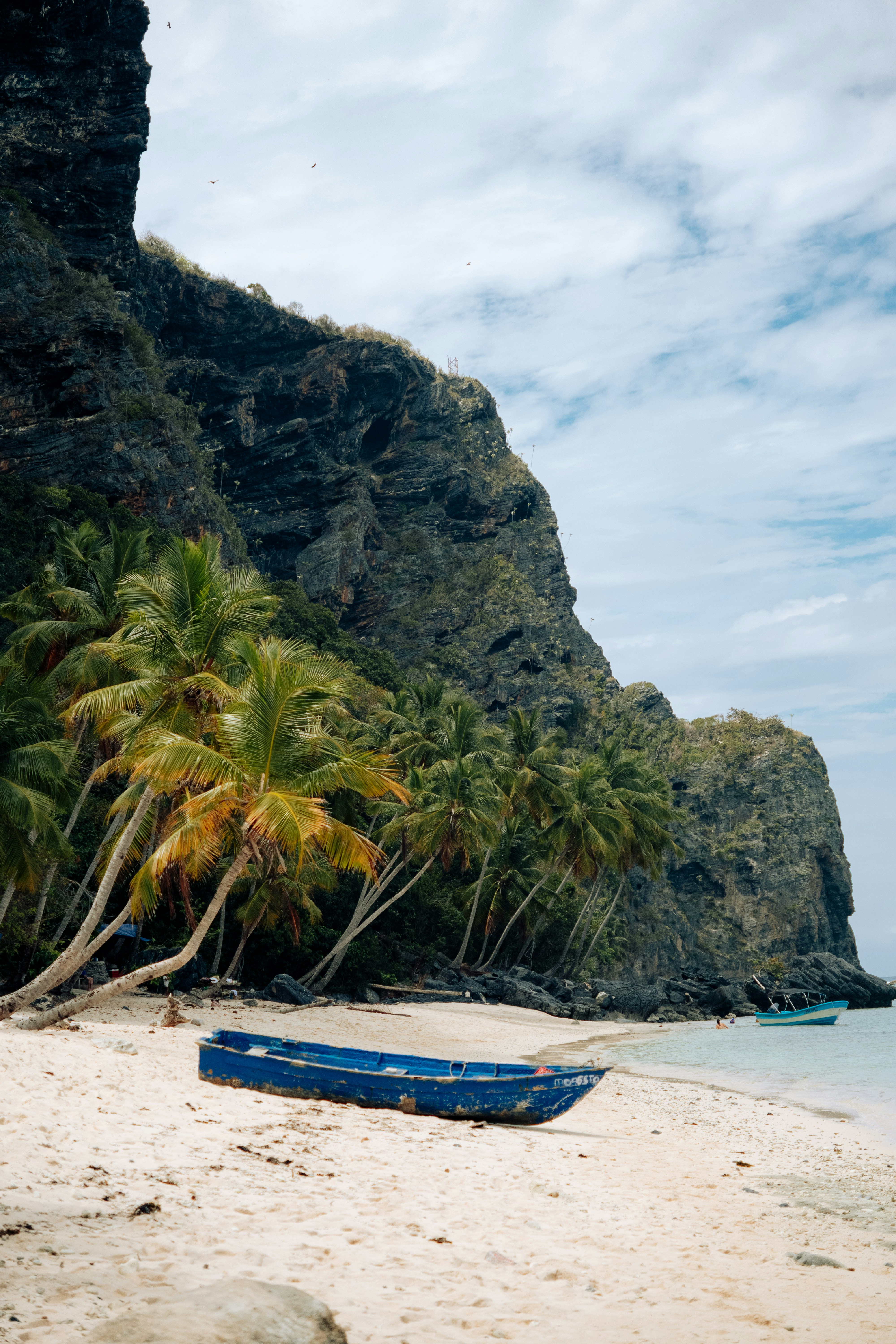 Blue boat resting on a sandy beach near palm trees.