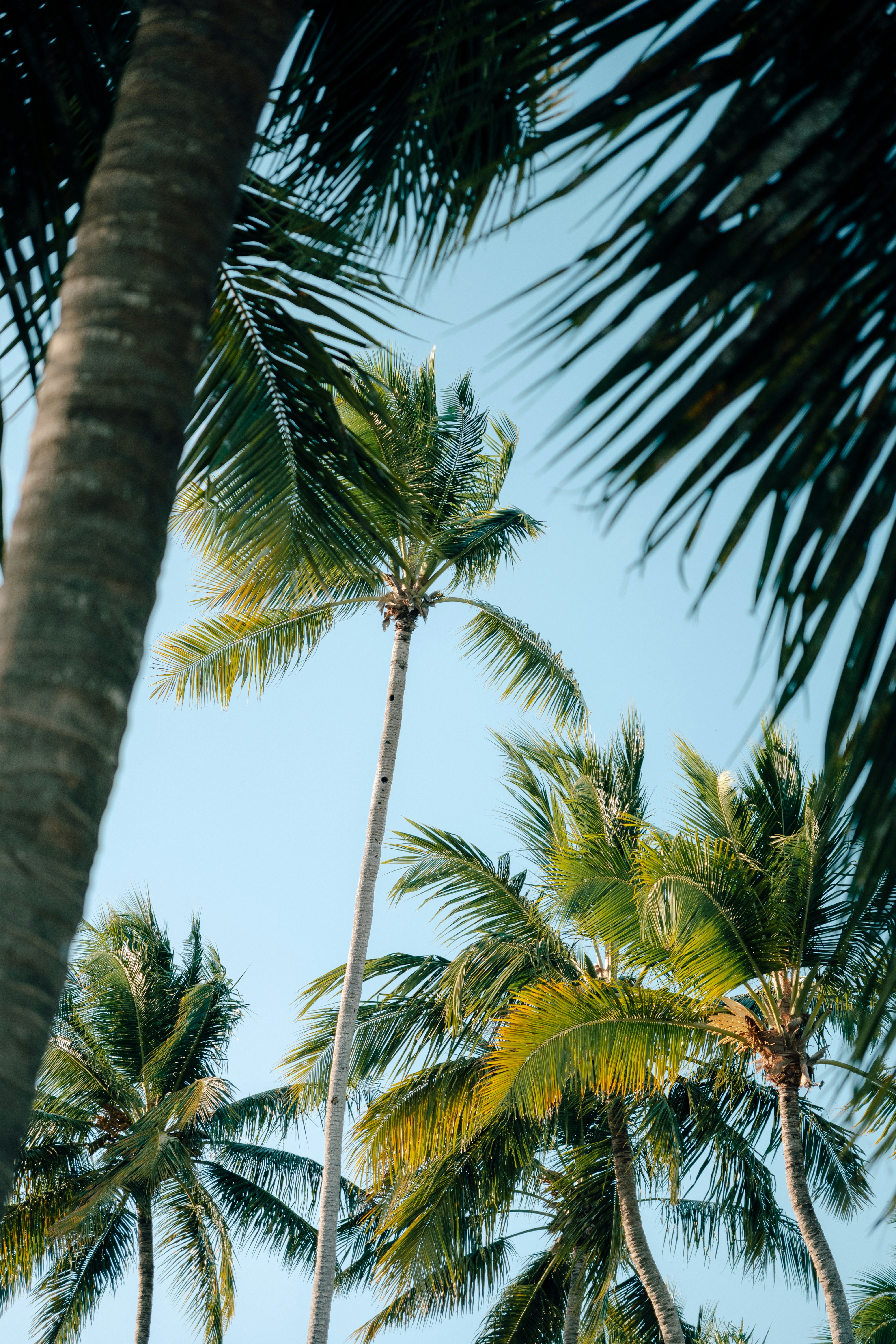 Photo by ginabell_18