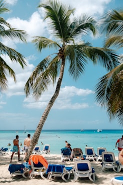 Palm trees line a crowded beach with lounge chairs.