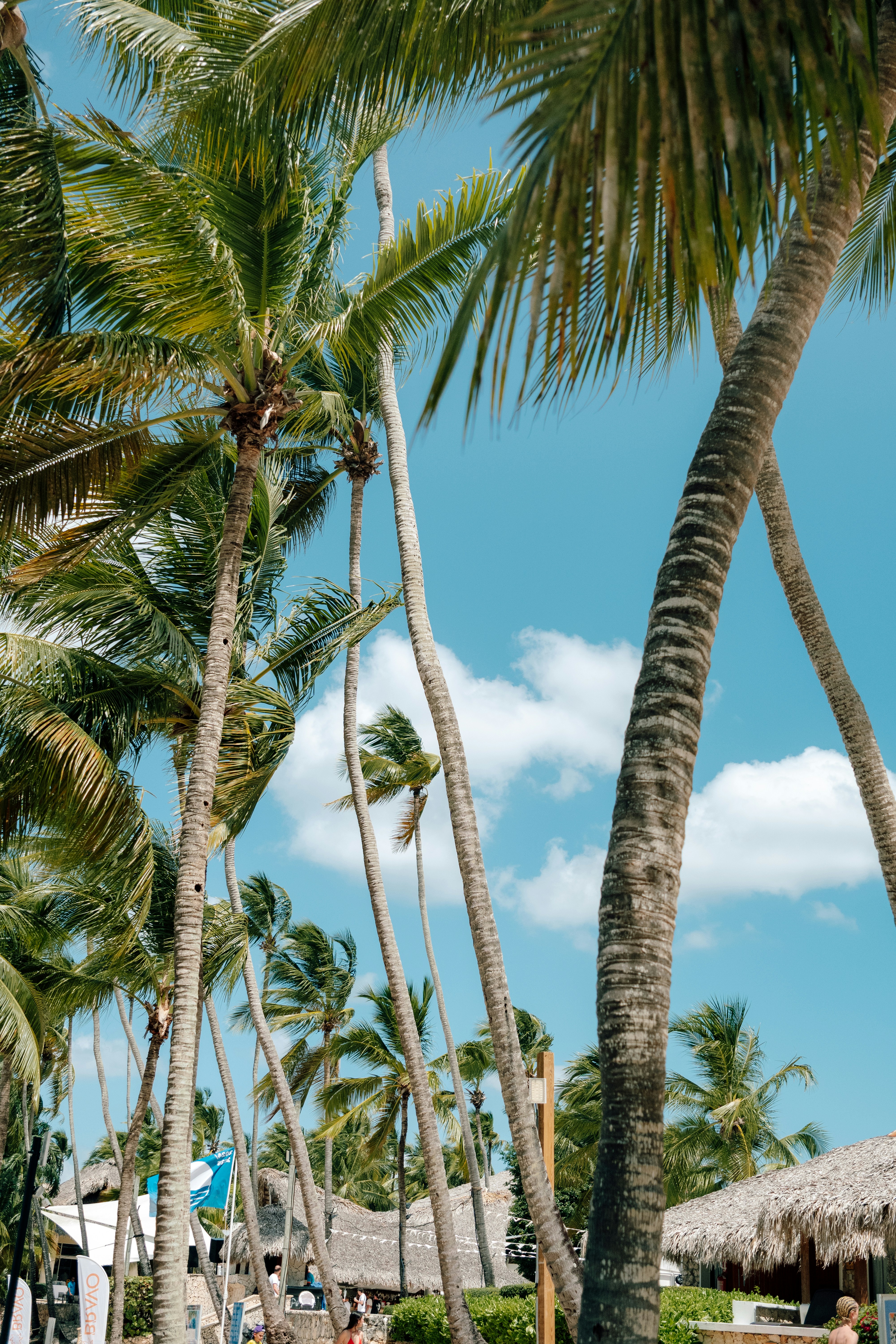 Photo by ginabell_18