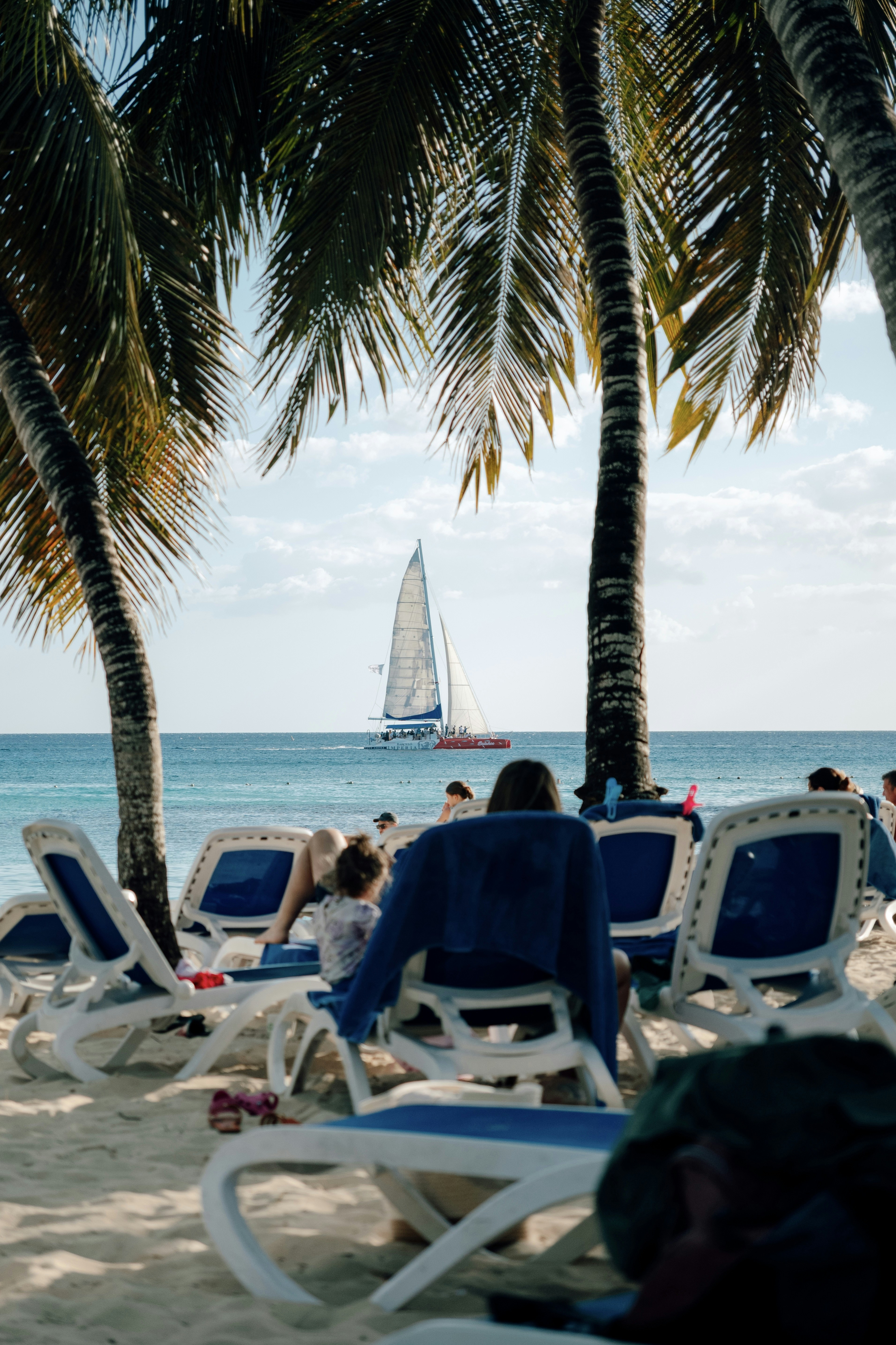 become local expert tour guide