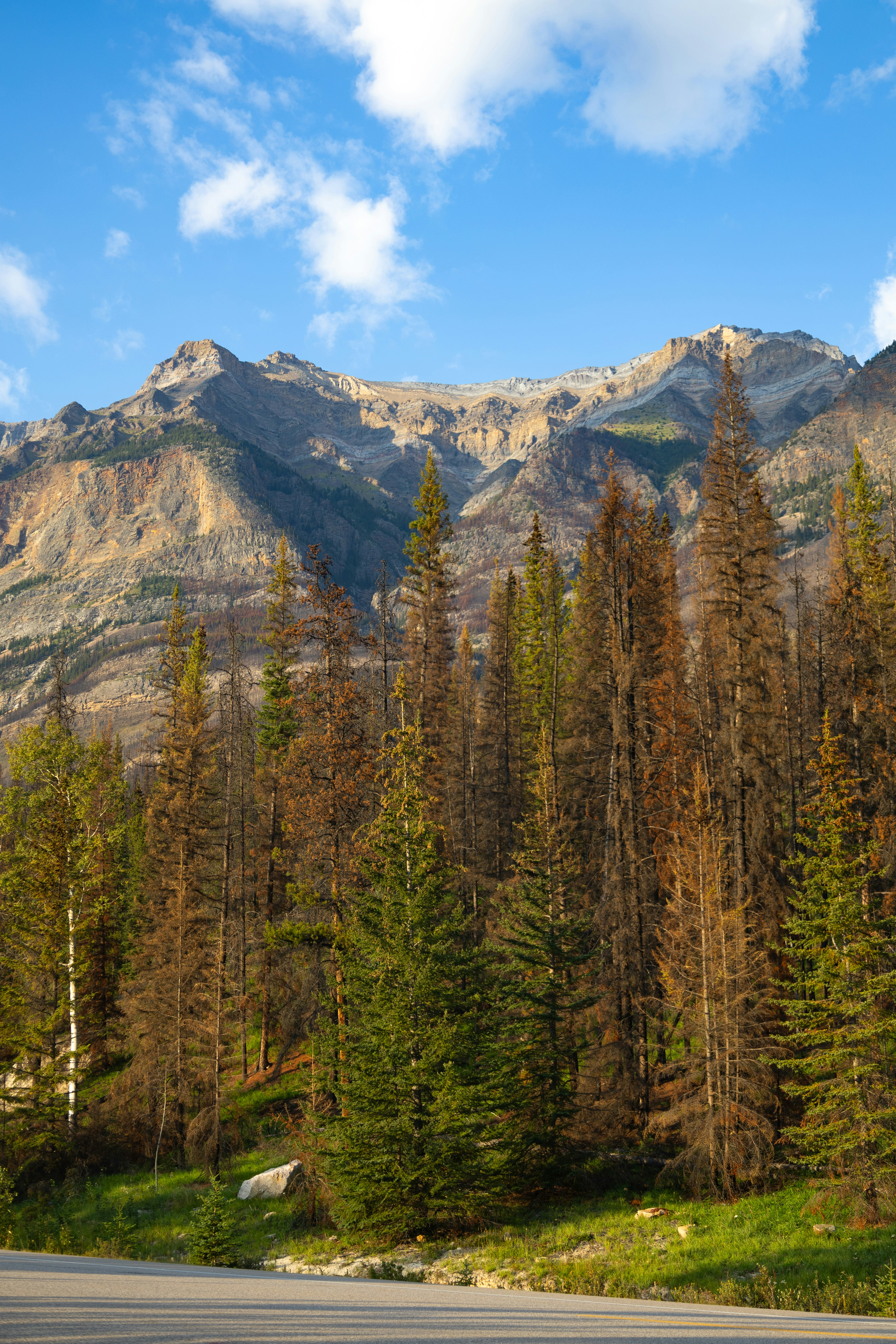 Photo by vincentyuan87