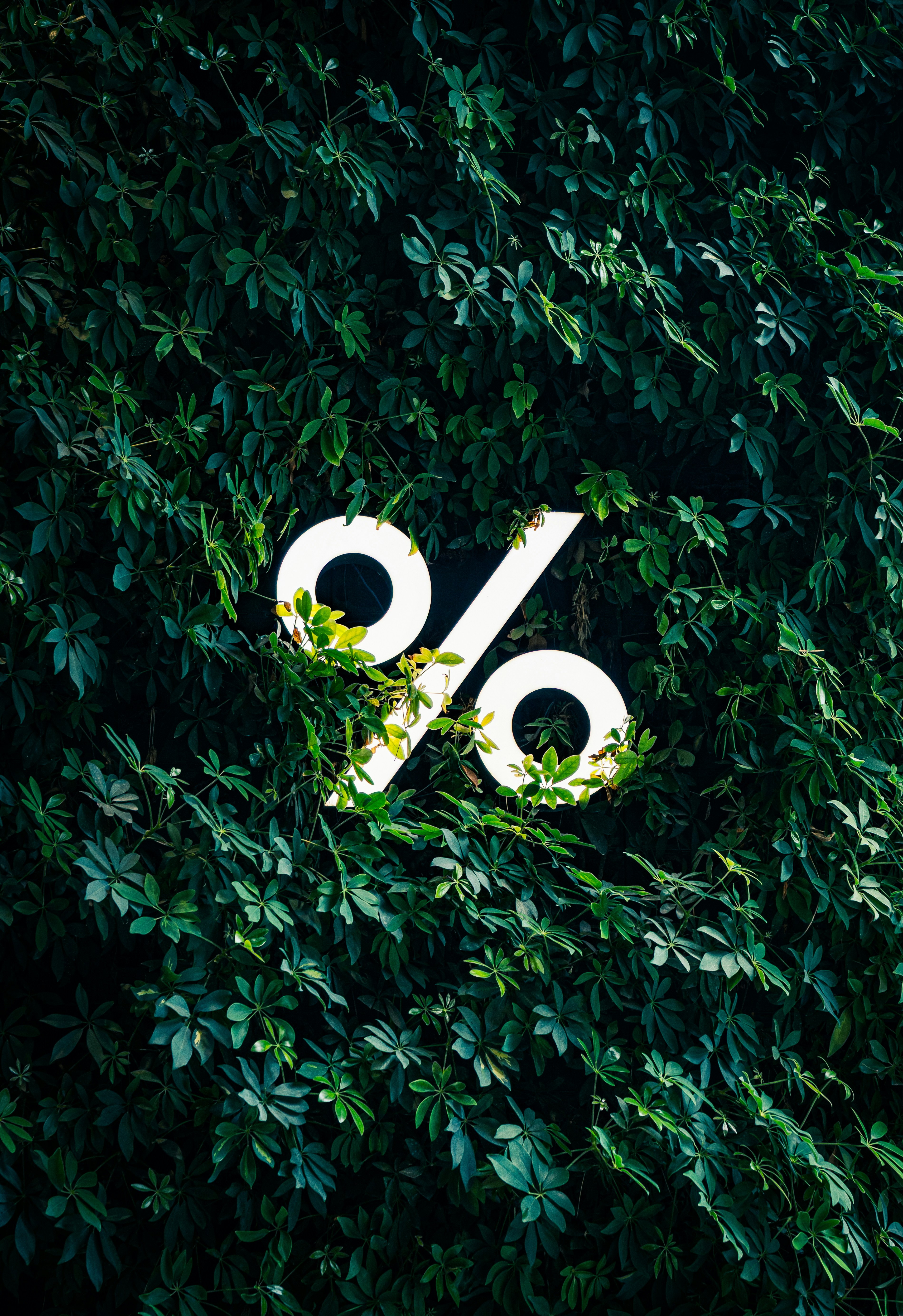 A white percentage sign logo surrounded by green leaves