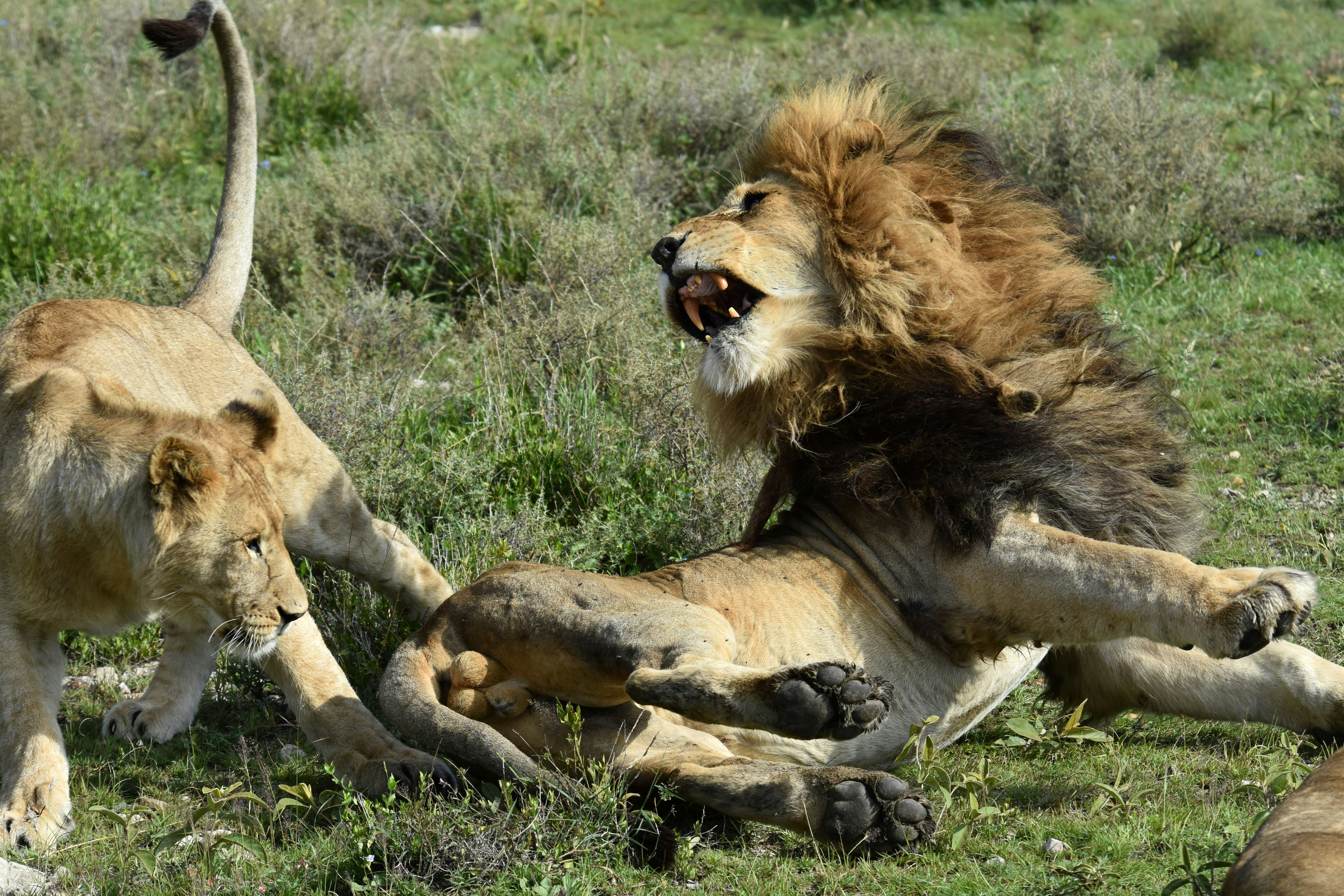 Don't disturb the old man while he's napping!
