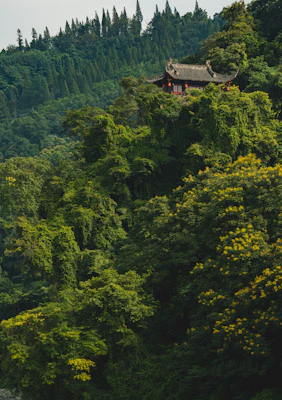桃花岭