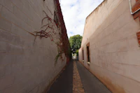 Hidden Attractions in Adelaide That Most Tourists Walk Right Past