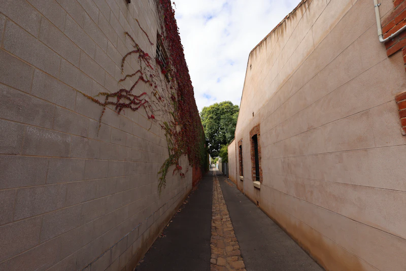 Hidden Attractions in Adelaide That Most Tourists Walk Right Past