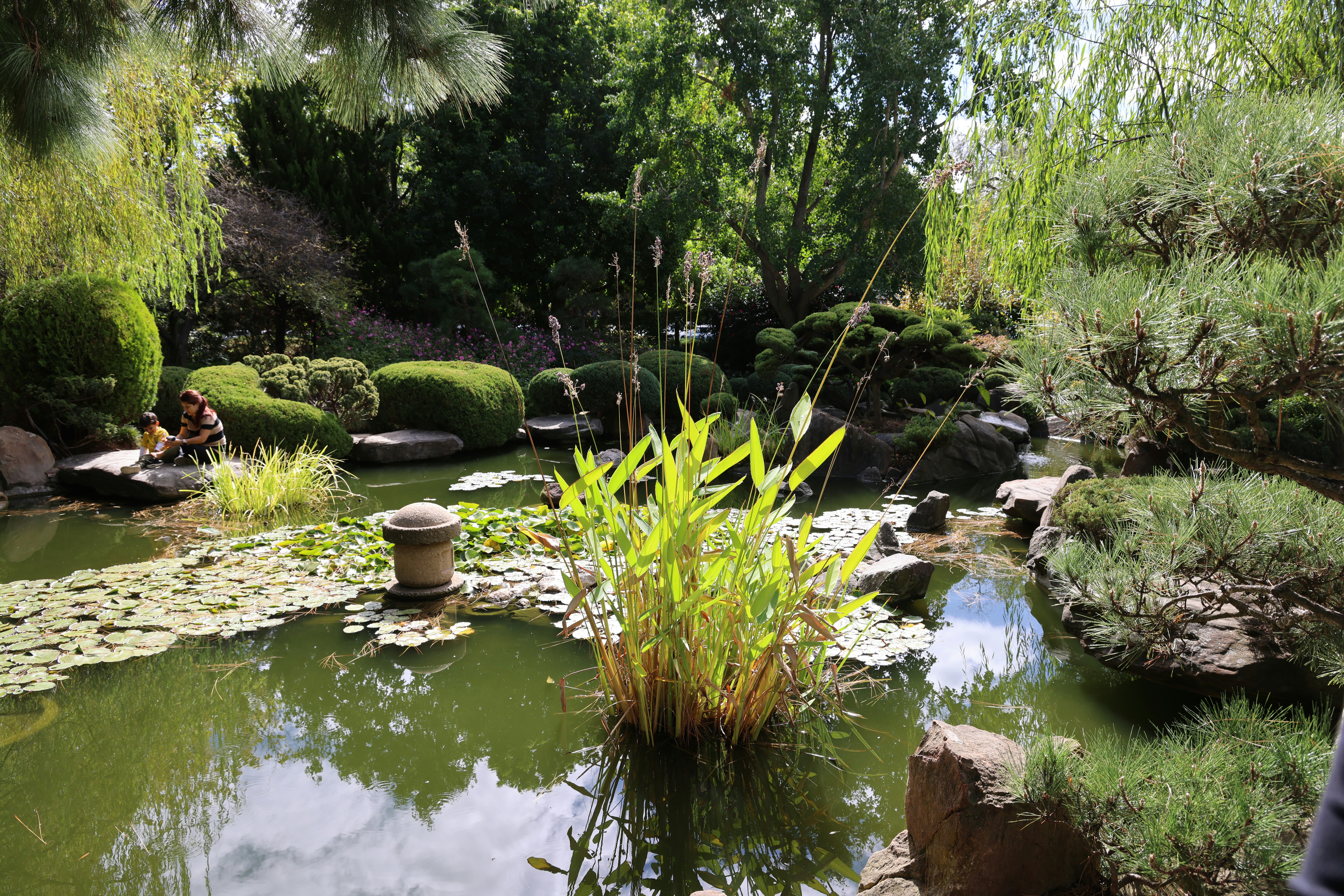 Quiet zen garden