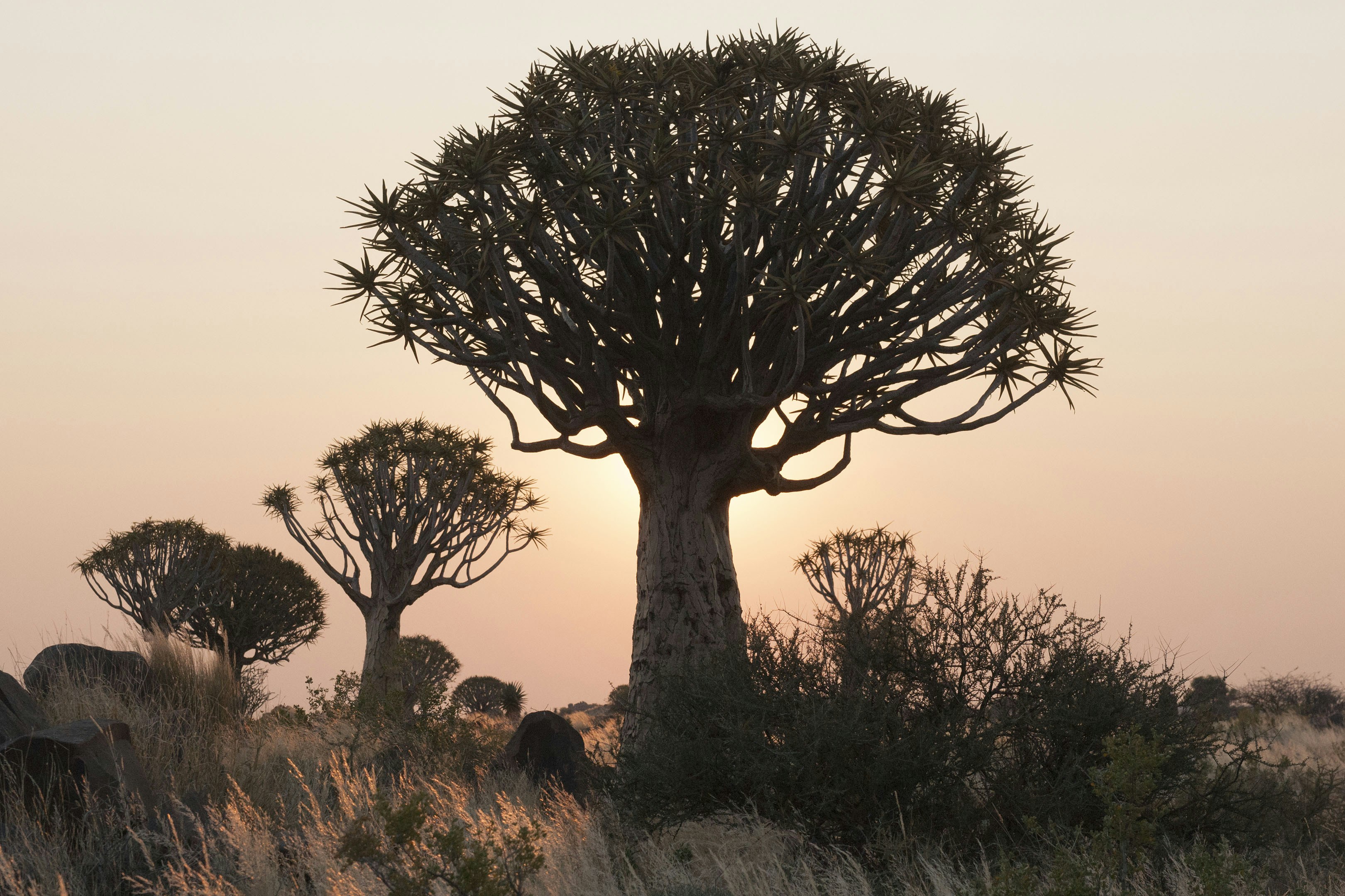 Keetmanshoop travel photo