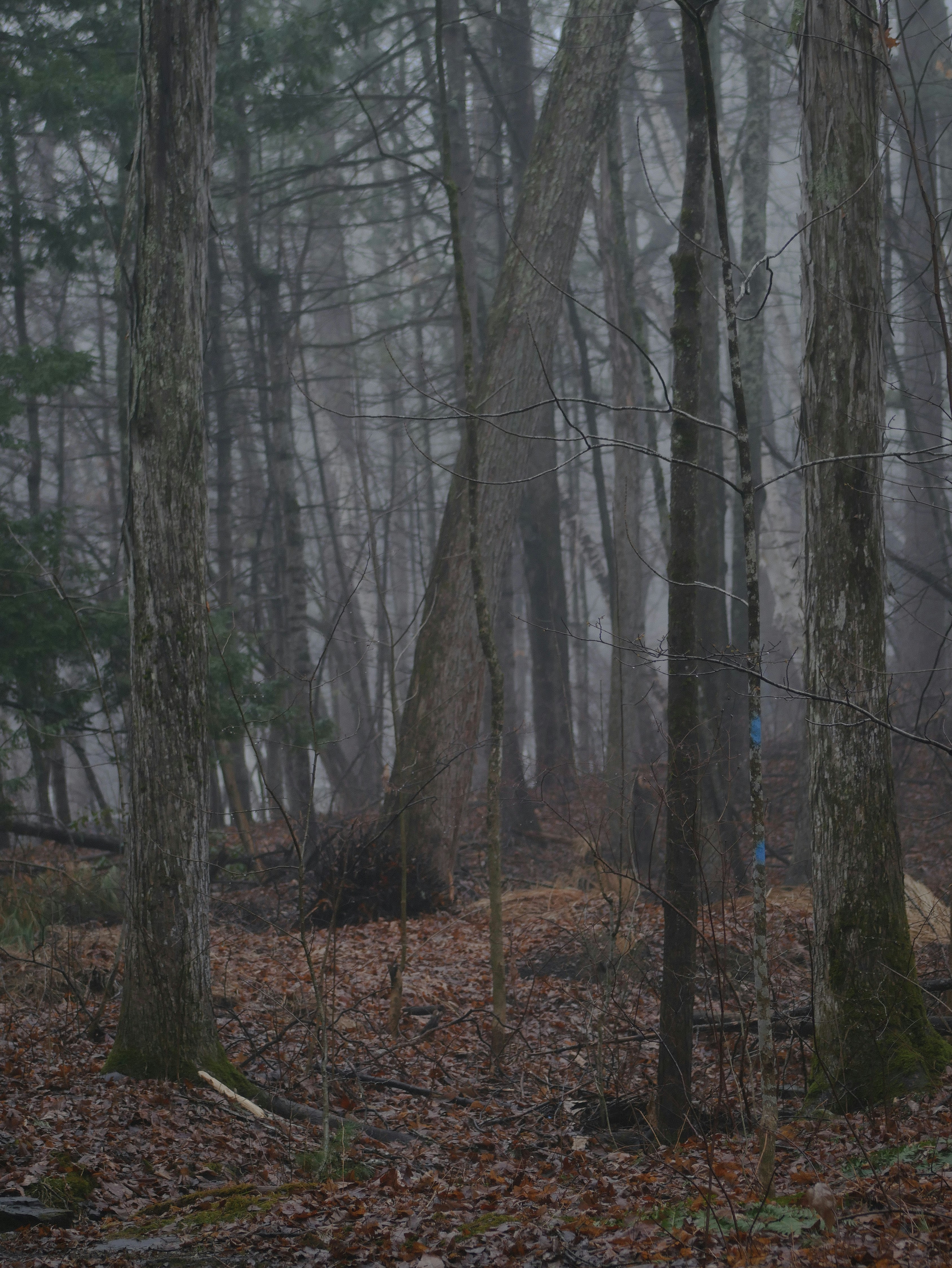 Photo by eternalmist