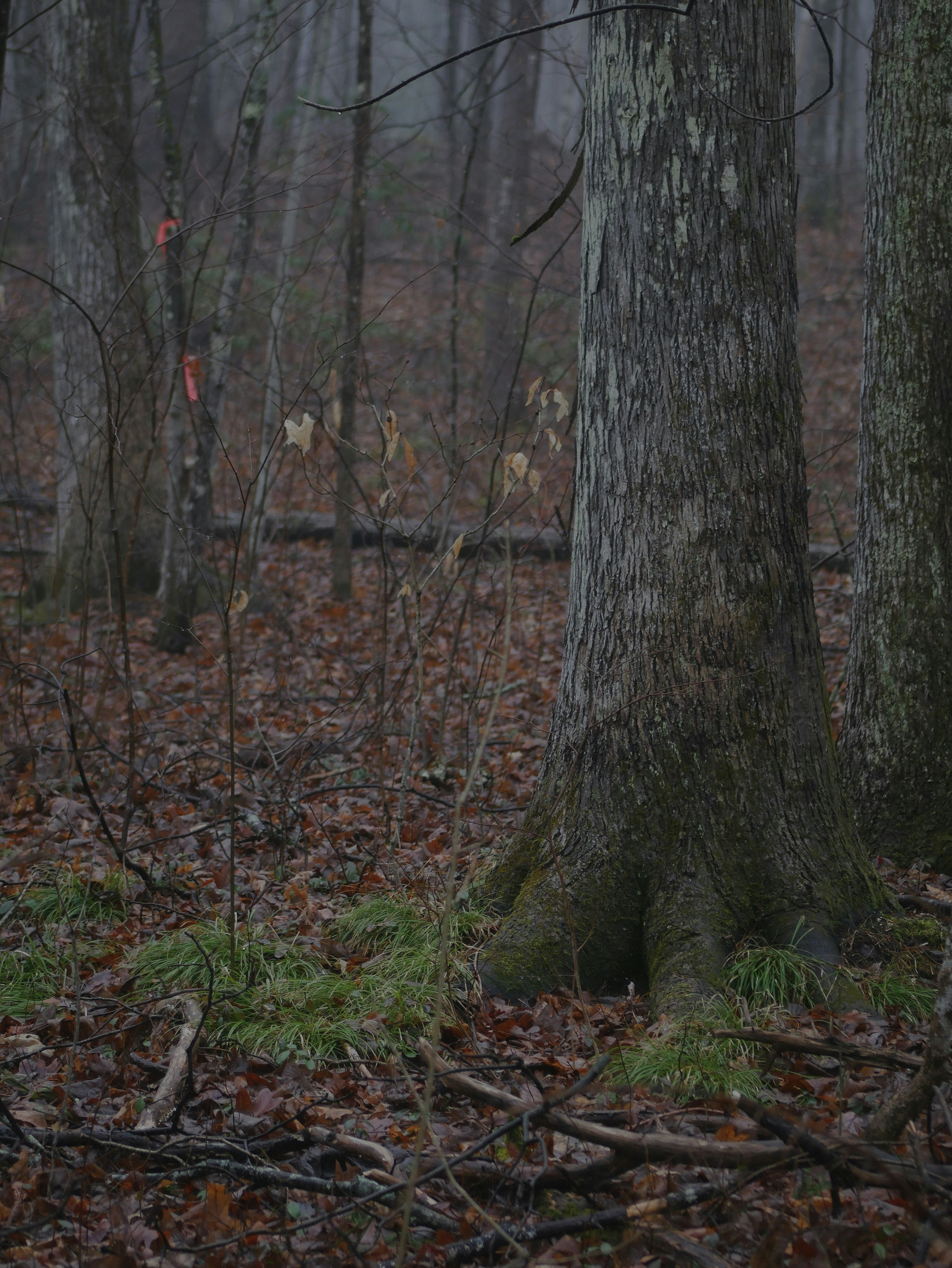 Photo by eternalmist