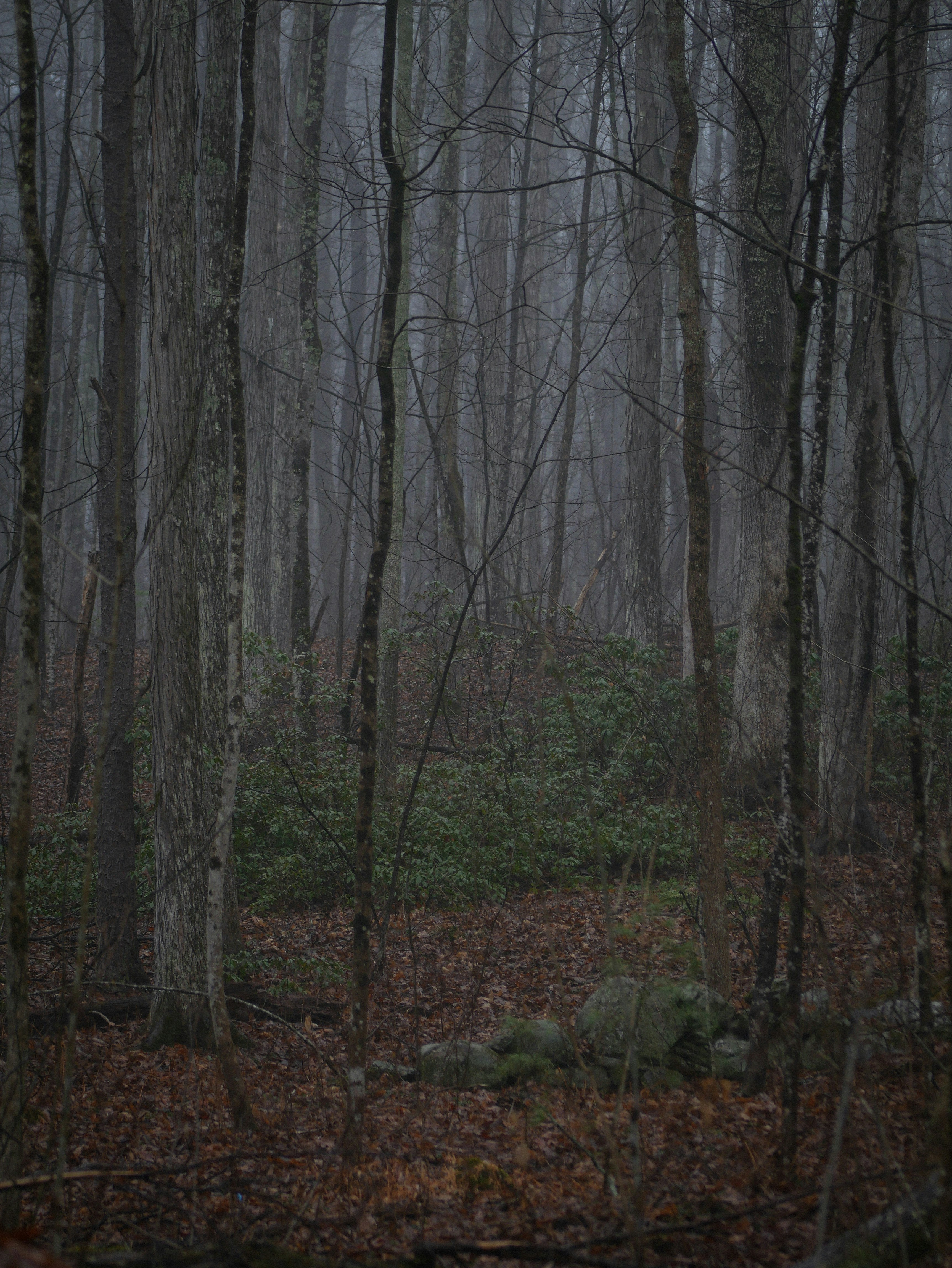 Photo by eternalmist