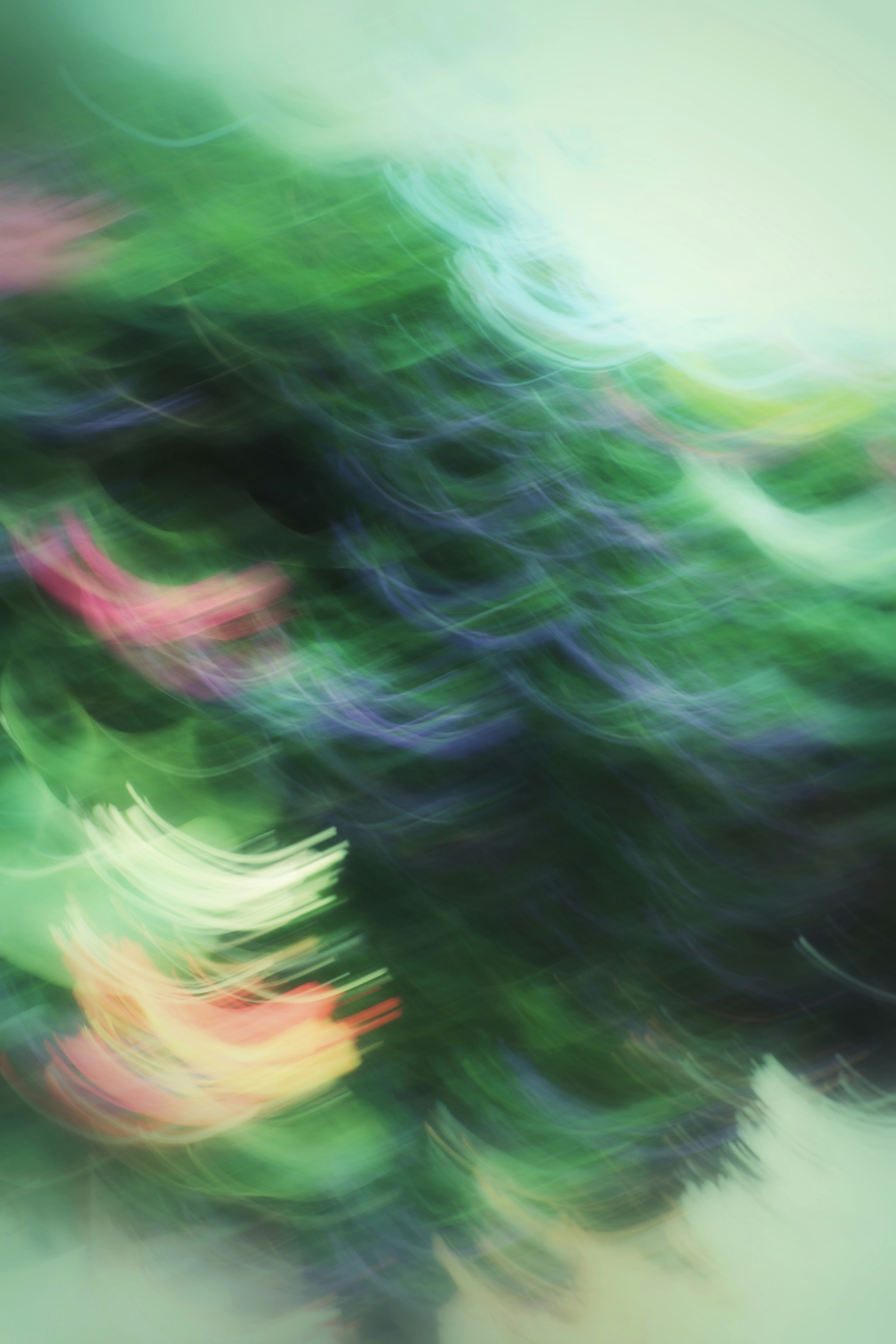 Photo by hashcode_error