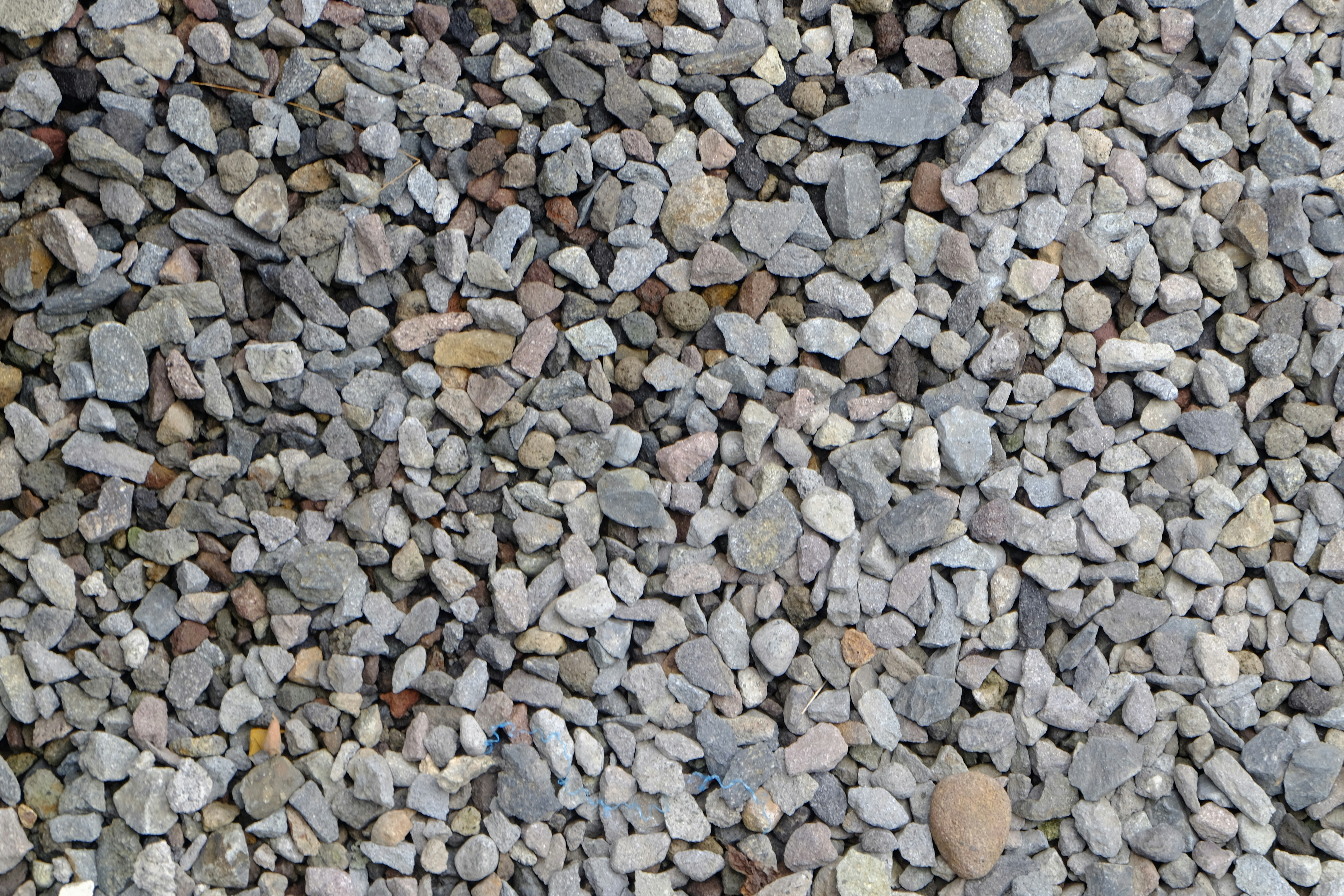 Photo by andriancyns