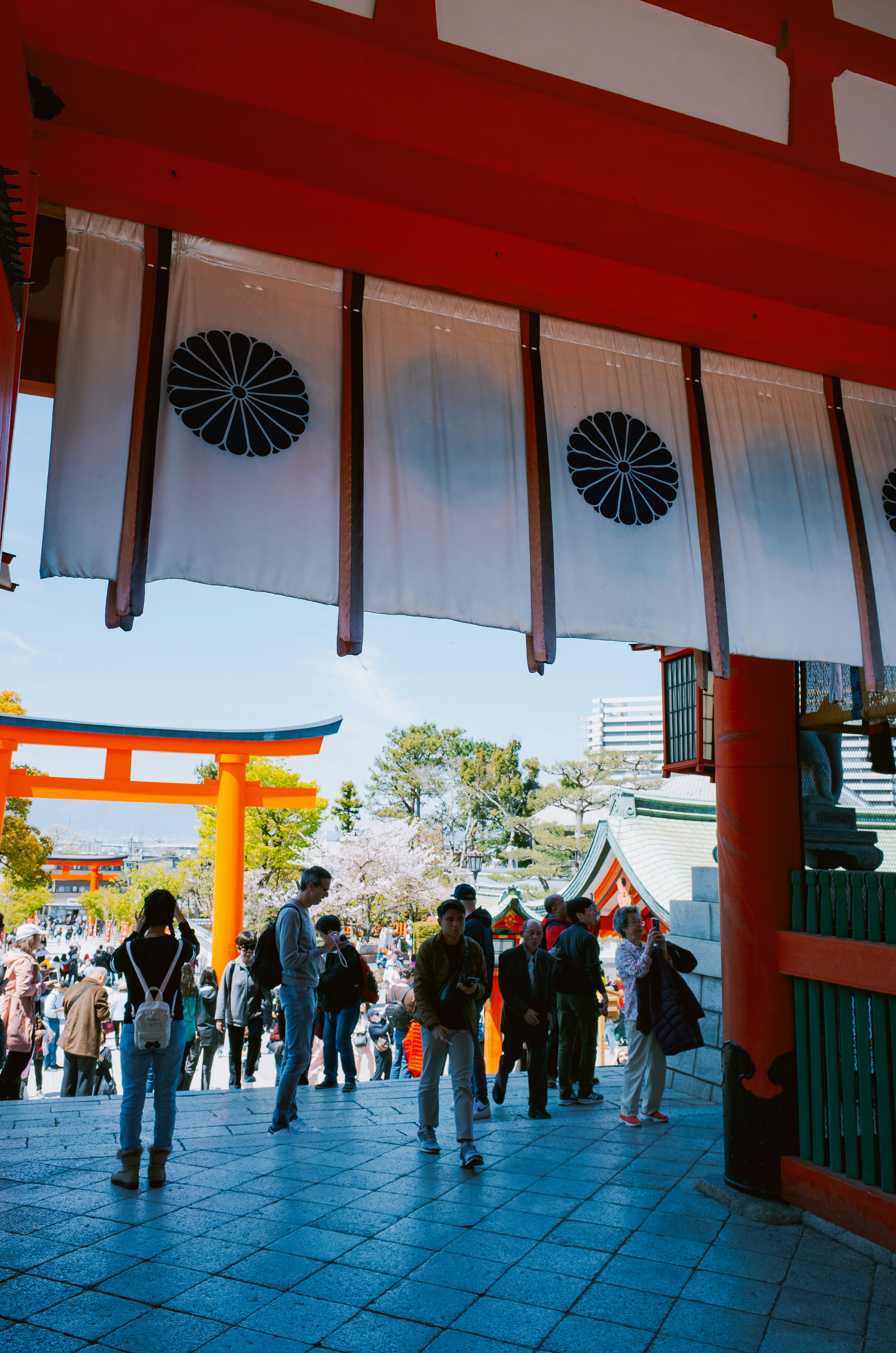Japan eVisa System: Your Digital Fast-Track to Entry