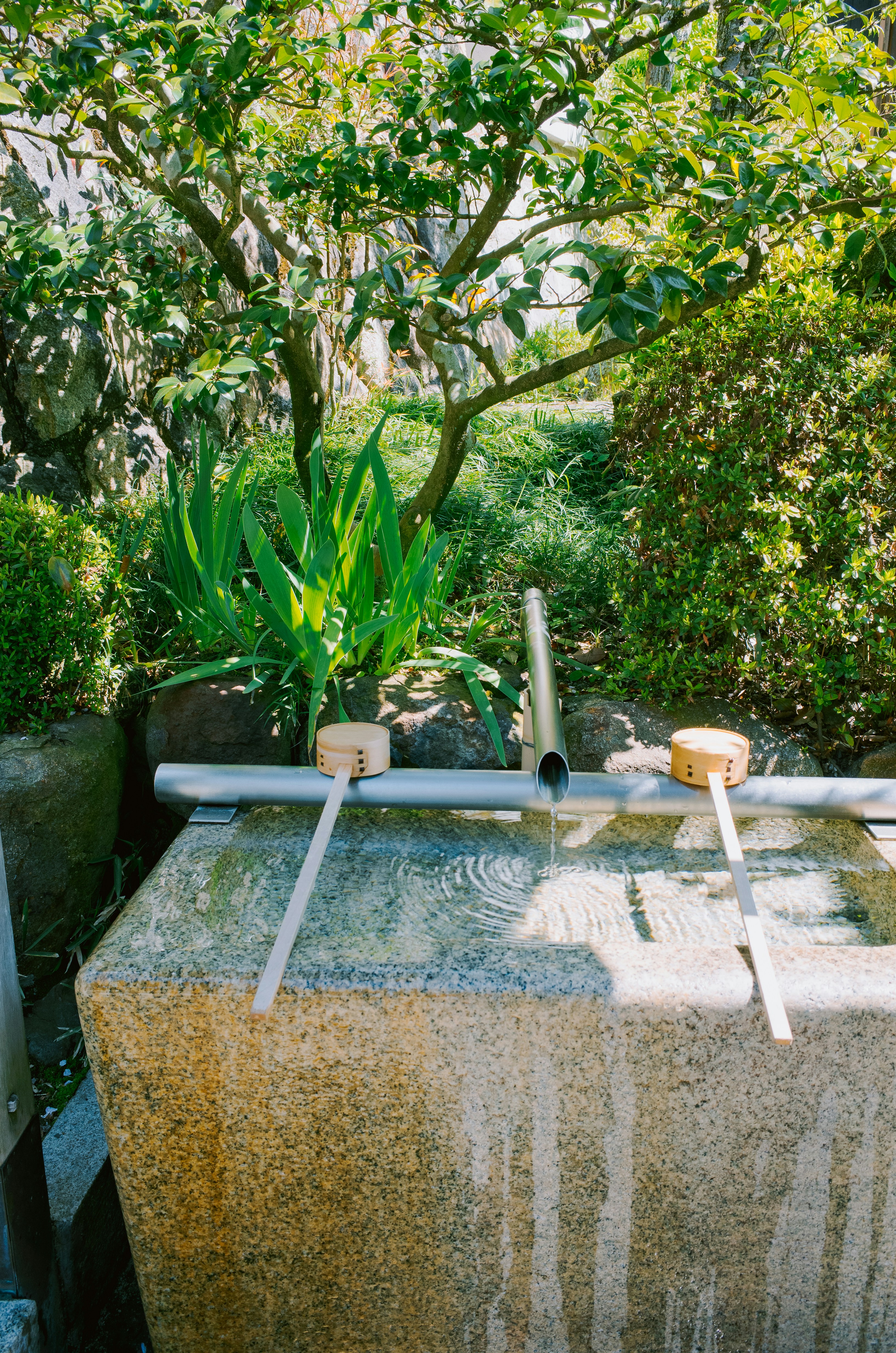 Fontaine à eau dans différents environnements
