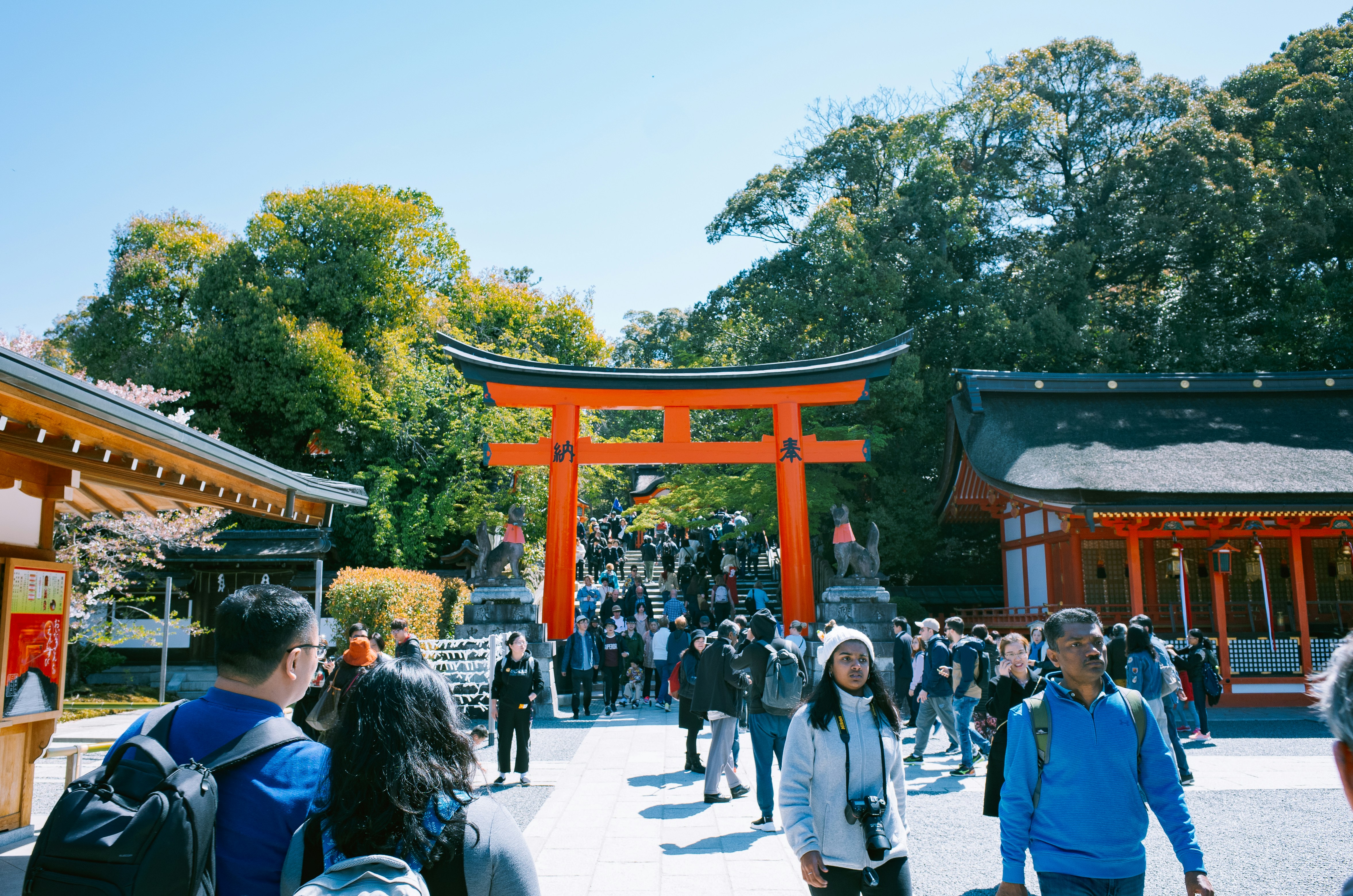 일본 비자발급 대행