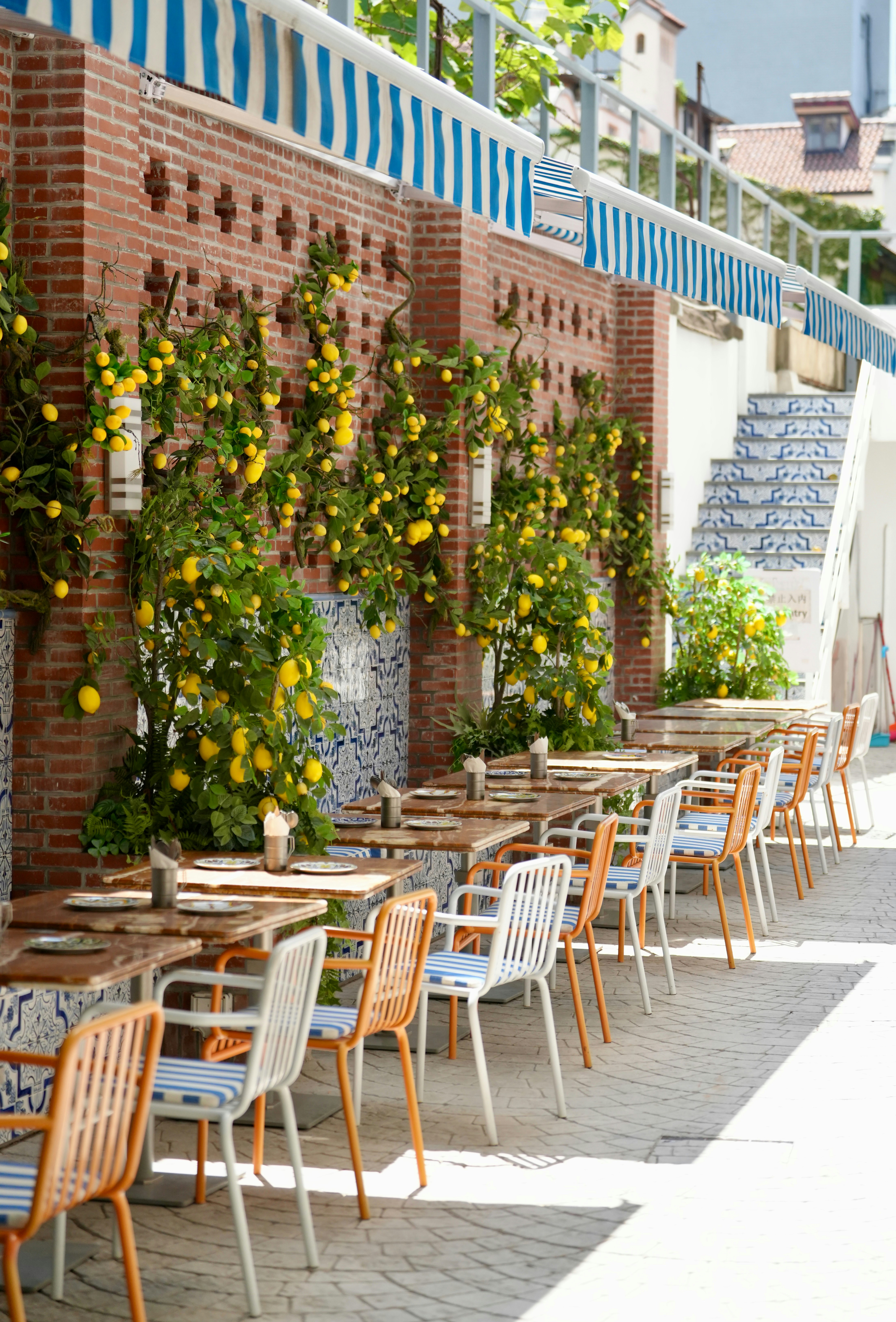 Outdoor cafe with tables and chairs under lemon trees