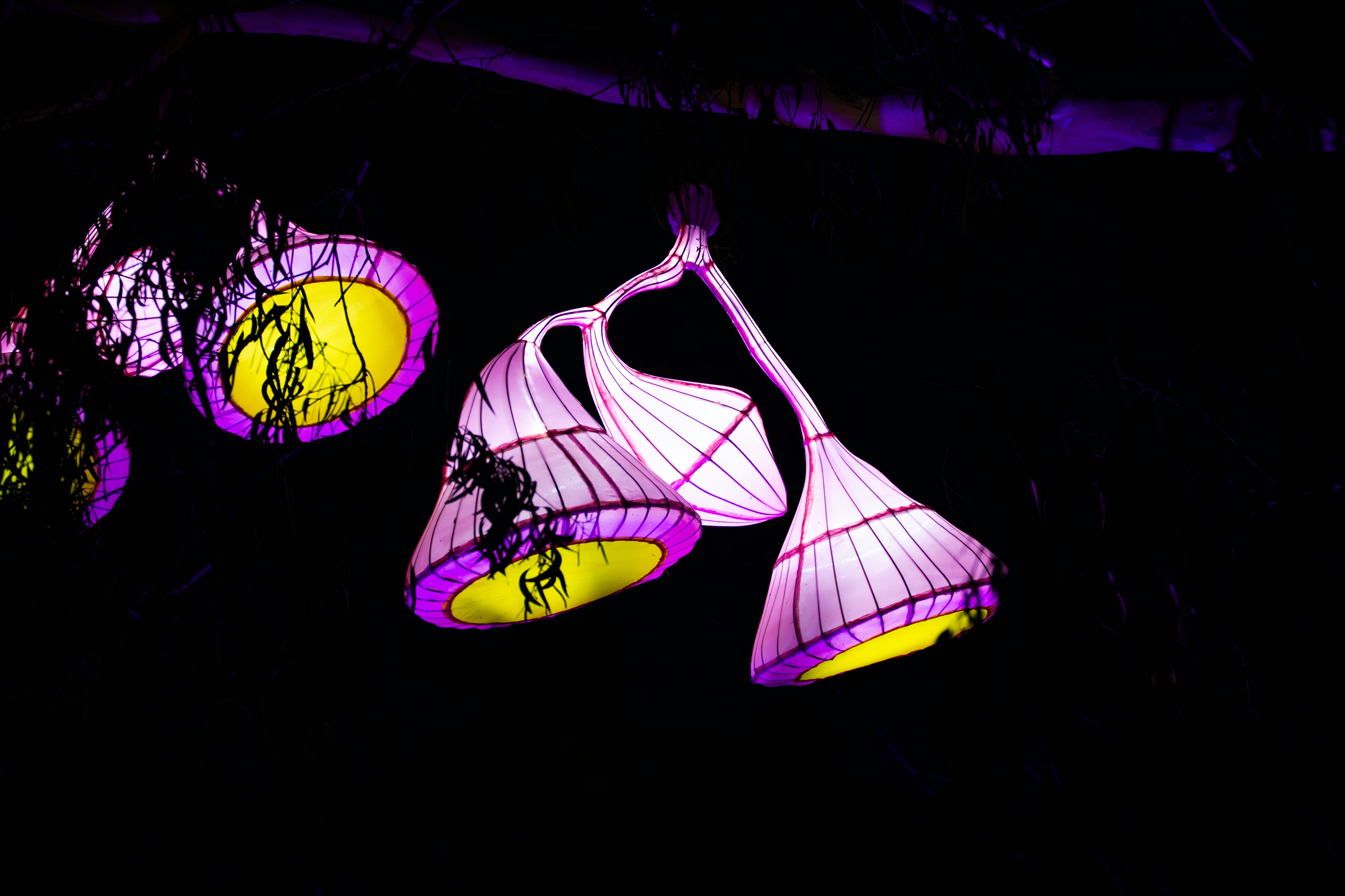 Bell-shaped lanterns illuminated with purple and yellow light