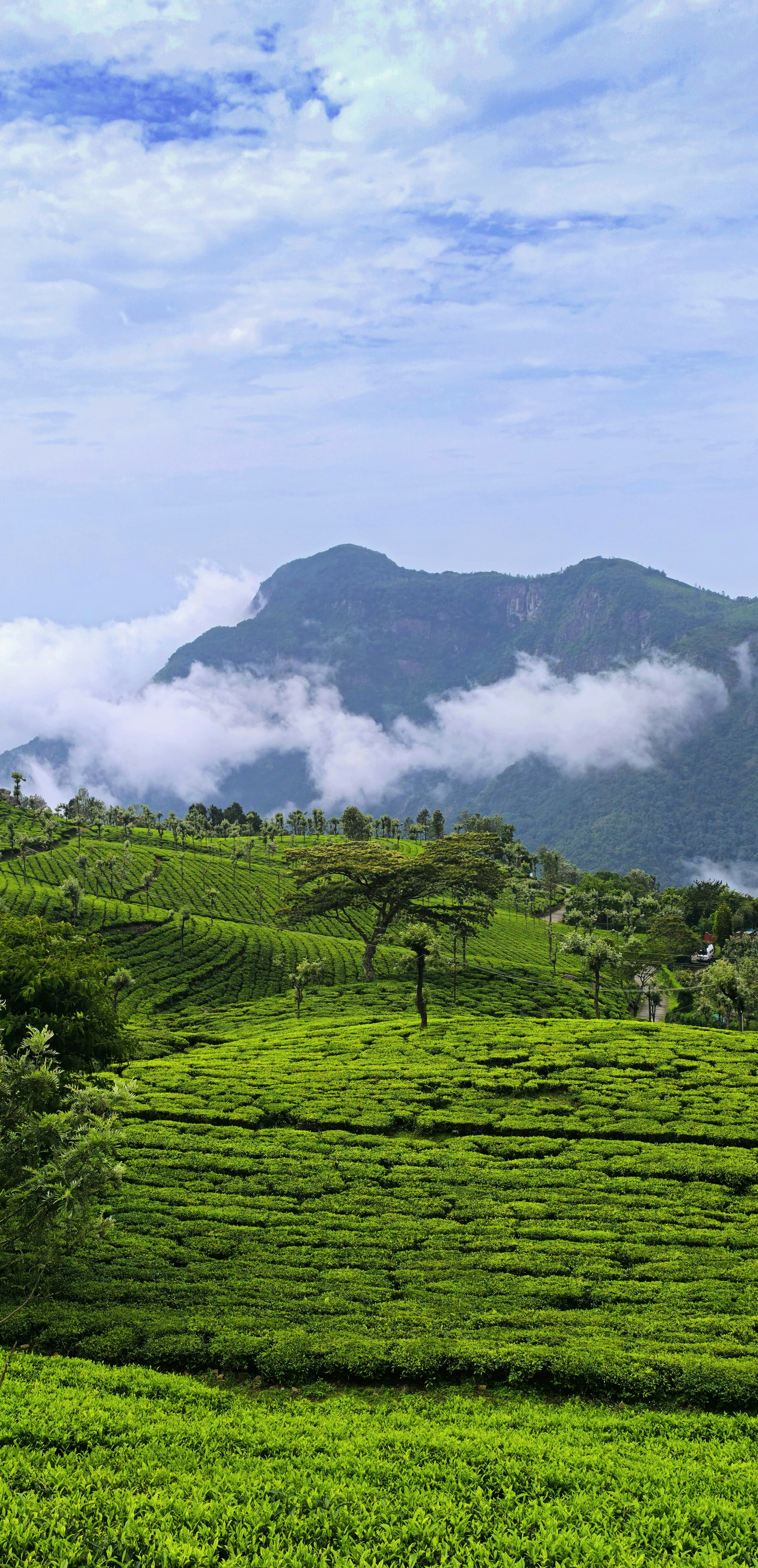 Photo by abhishek_127