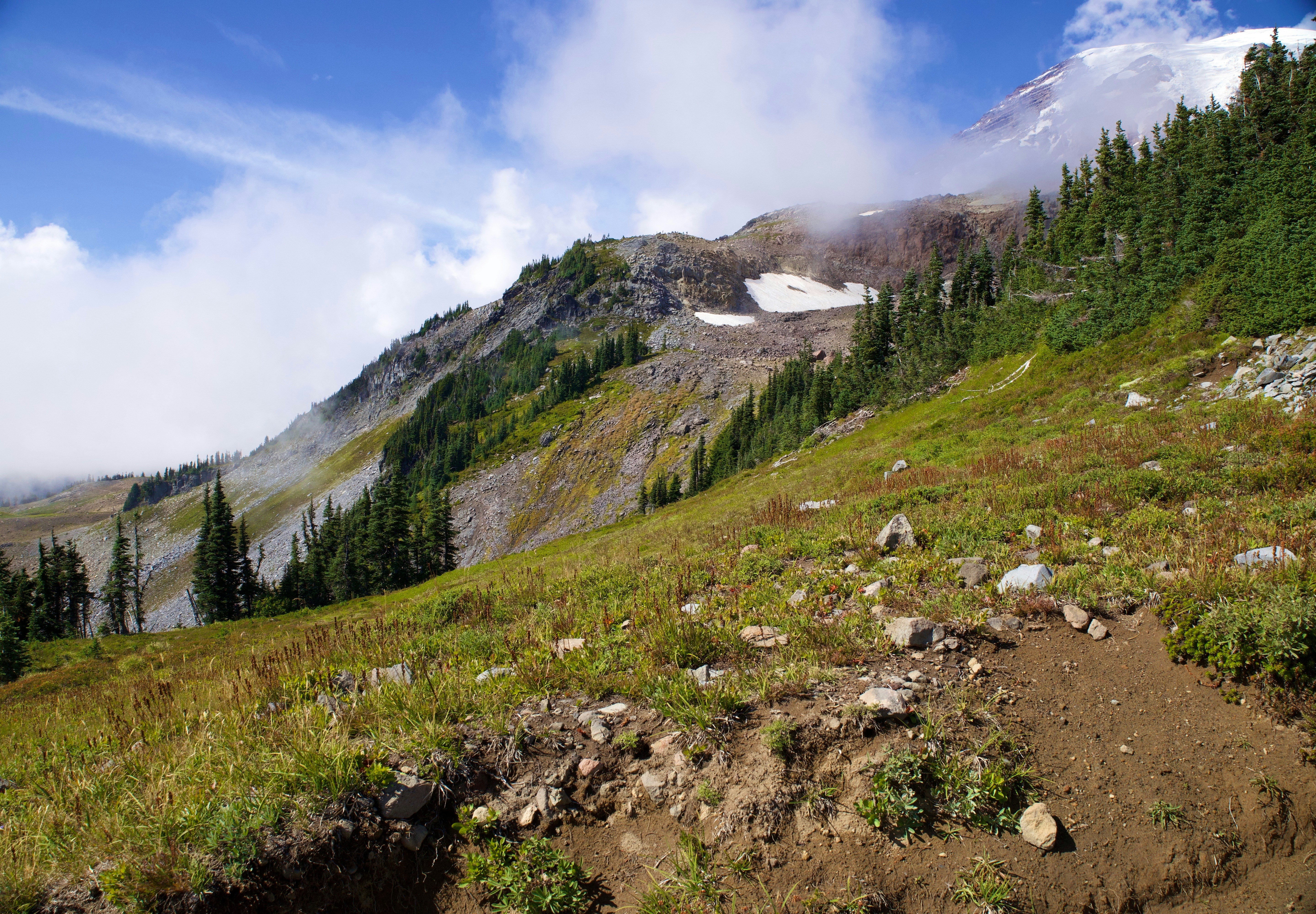 Photo by whopperlover