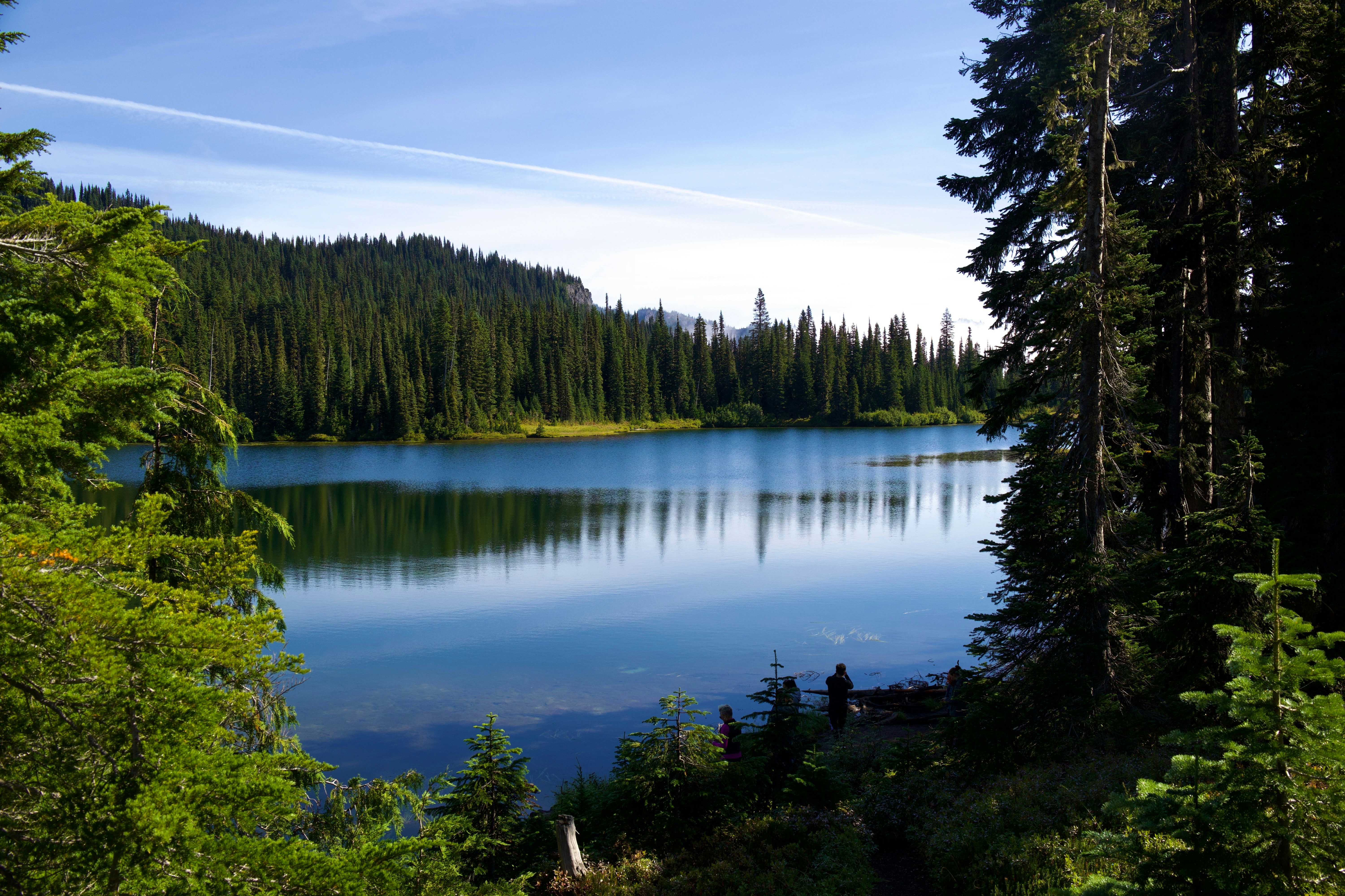 Photo by whopperlover