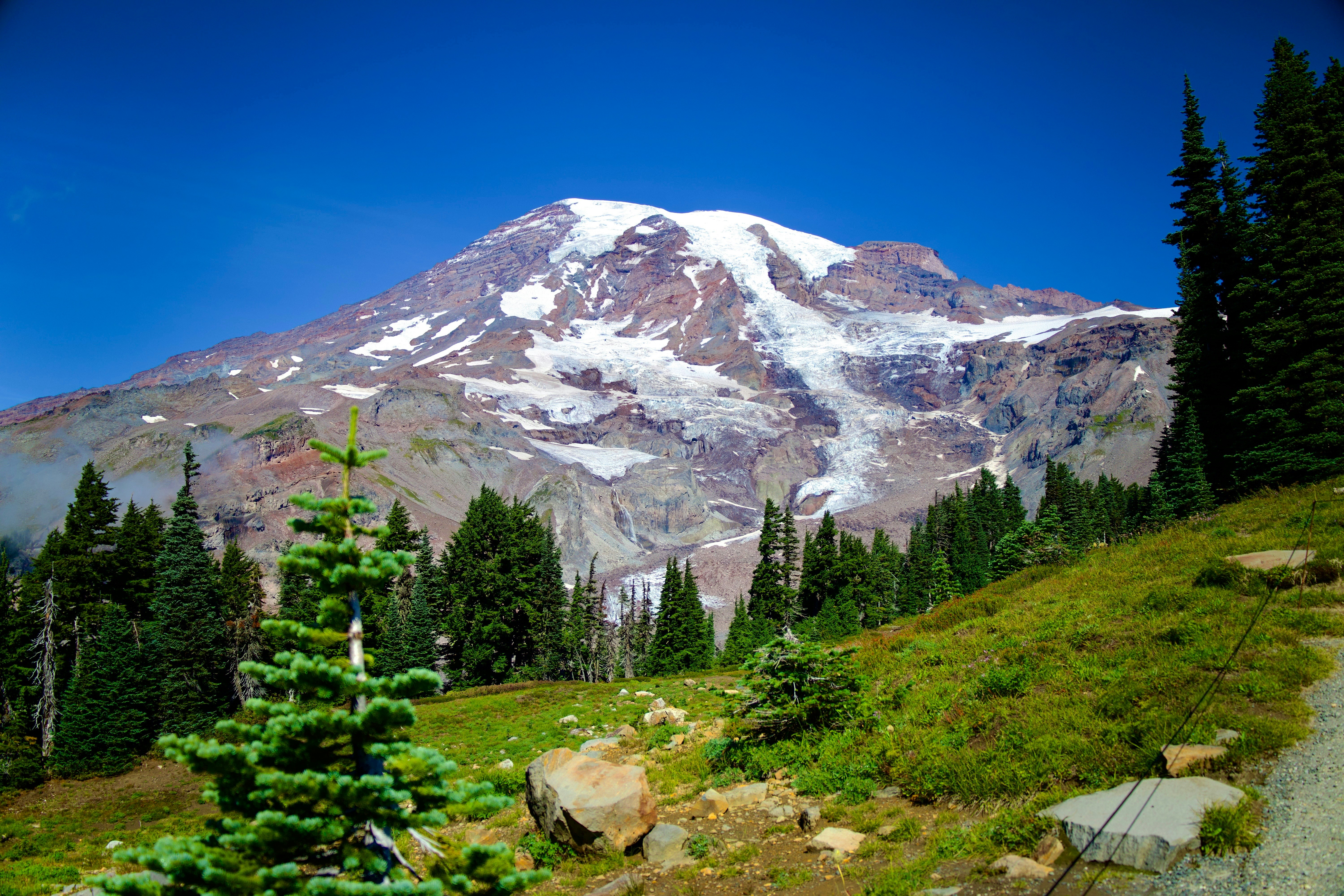 Photo by whopperlover